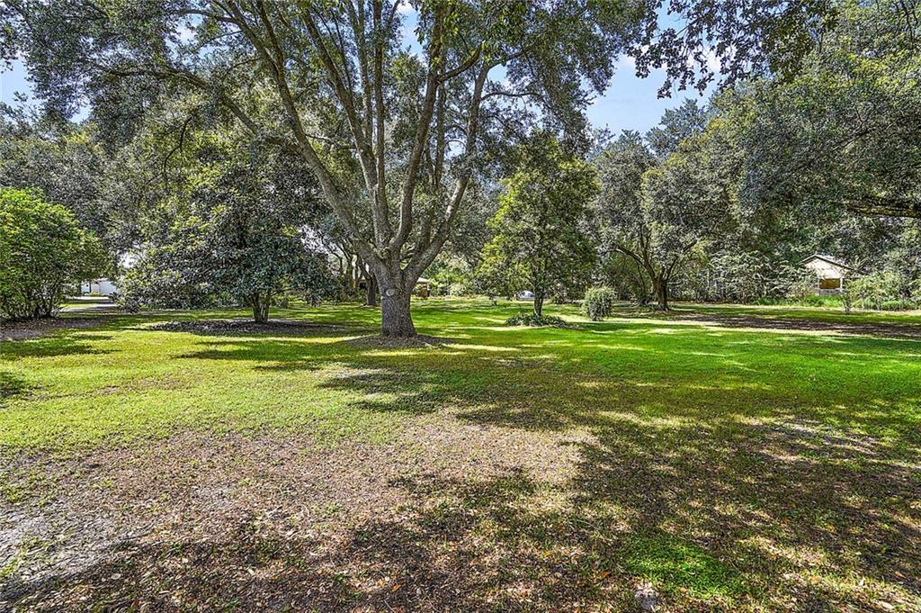 4422 Round Lake Road Apopka, FL 32712 - Photo 4 of 37 AG Zoning and no HOA or Deed Restrictions.