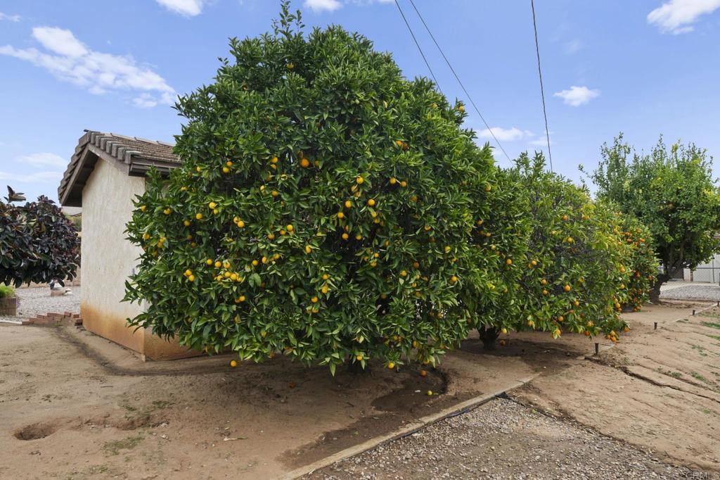 2938 Viejas View Place Alpine, CA 91901 - Photo 51 of 53