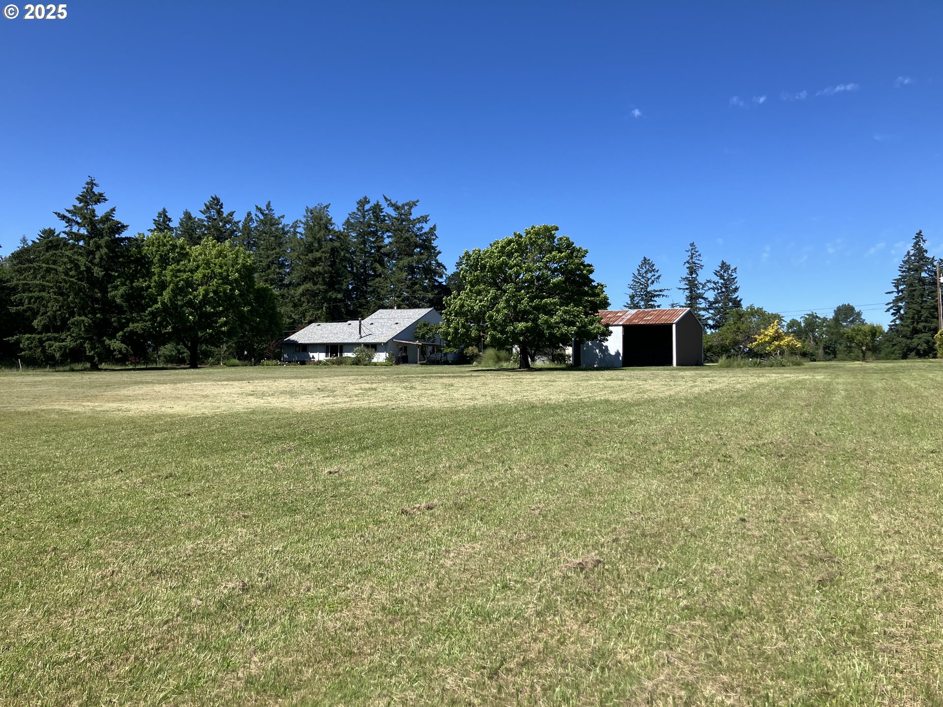 Front Yard