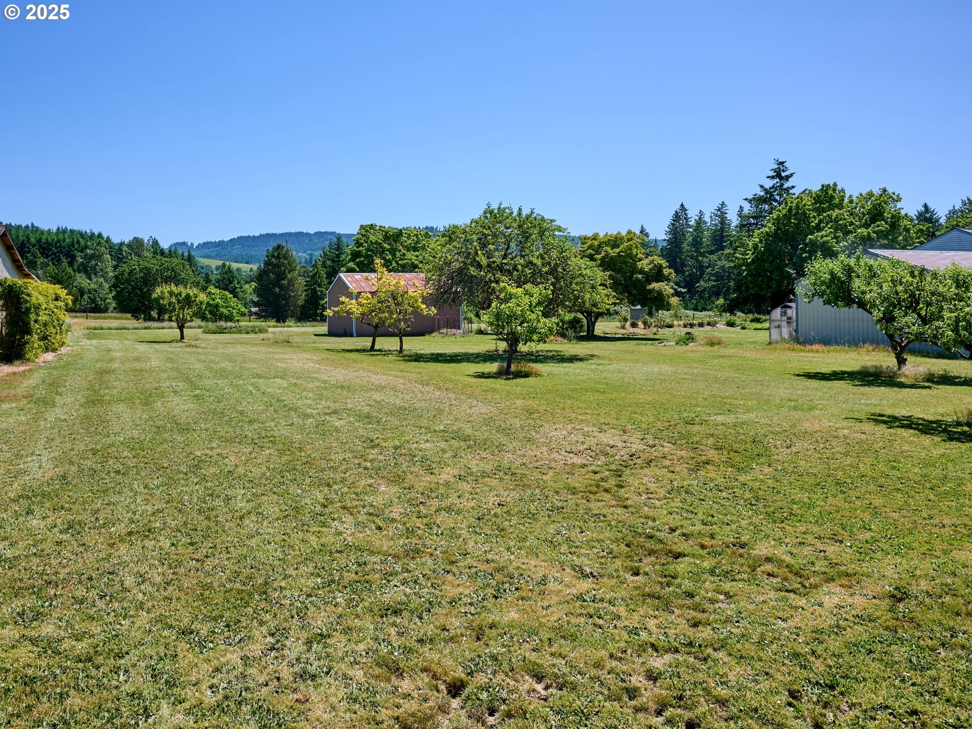 29275 Northeast Putnam Road Newberg, OR 97132 - Photo 29 of 46 Yard