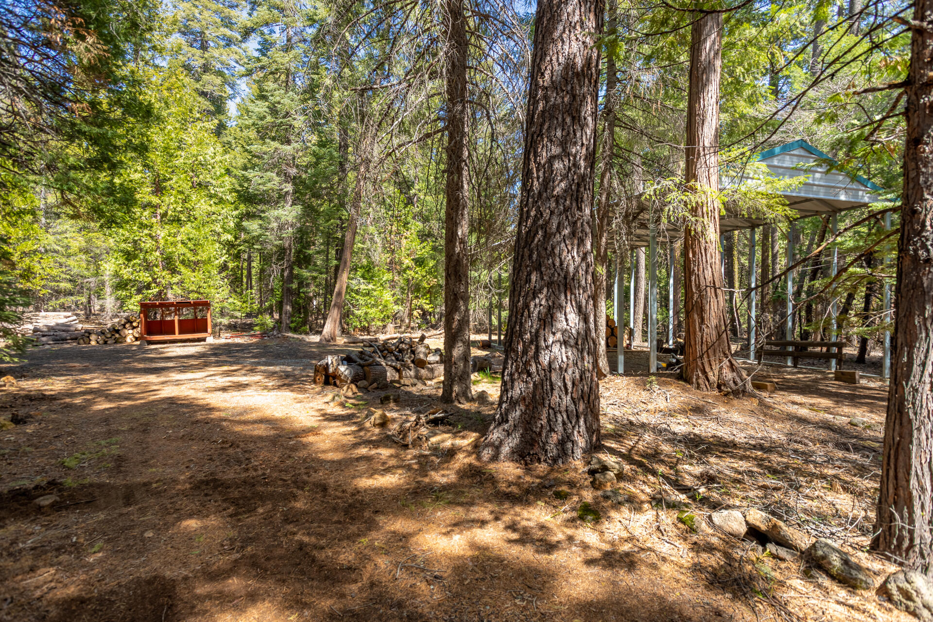 8381 Lost Mill Road Shingletown, CA 96088 - Photo 16 of 20 78 back acreage