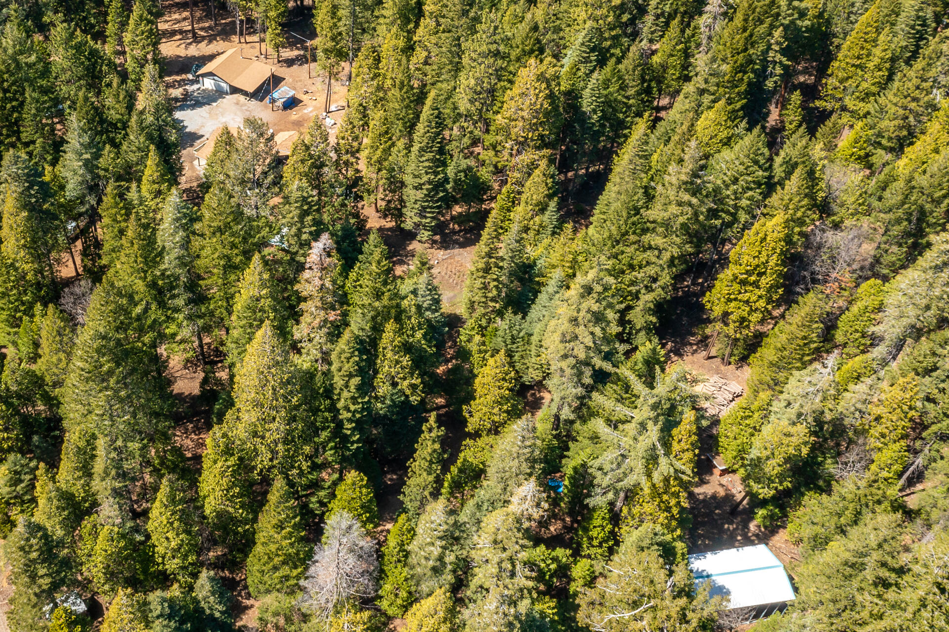 8381 Lost Mill Road Shingletown, CA 96088 - Photo 19 of 20 aerial back high