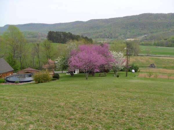 487 Elk Fork Road Pioneer, TN 37847 - Photo 3 of 22 6