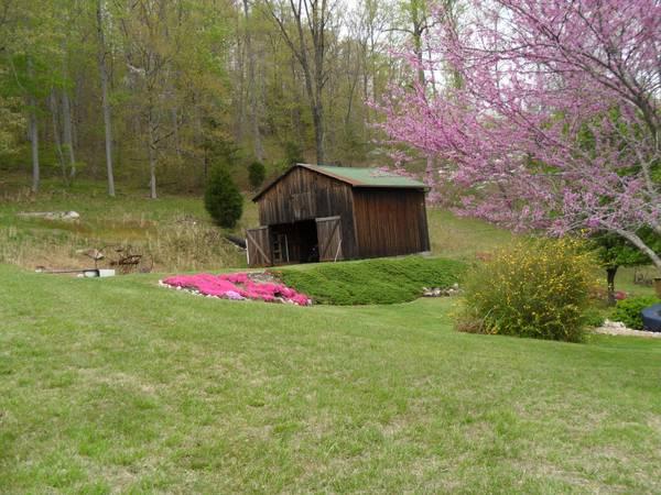 487 Elk Fork Road Pioneer, TN 37847 - Photo 6 of 22 5