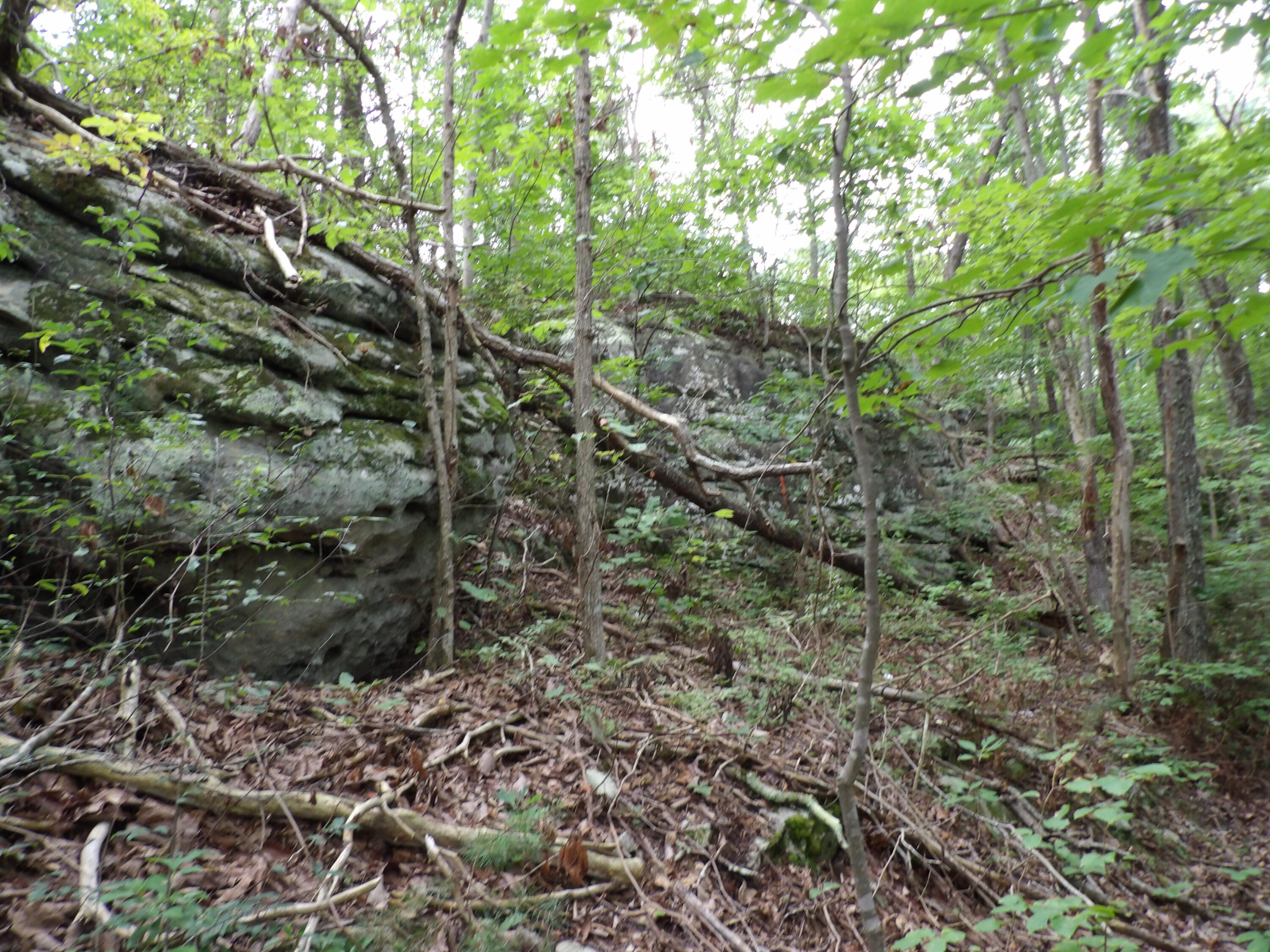 98 Porch Rock Road Pikeville, TN 37367 - Photo 11 of 42 100_0698