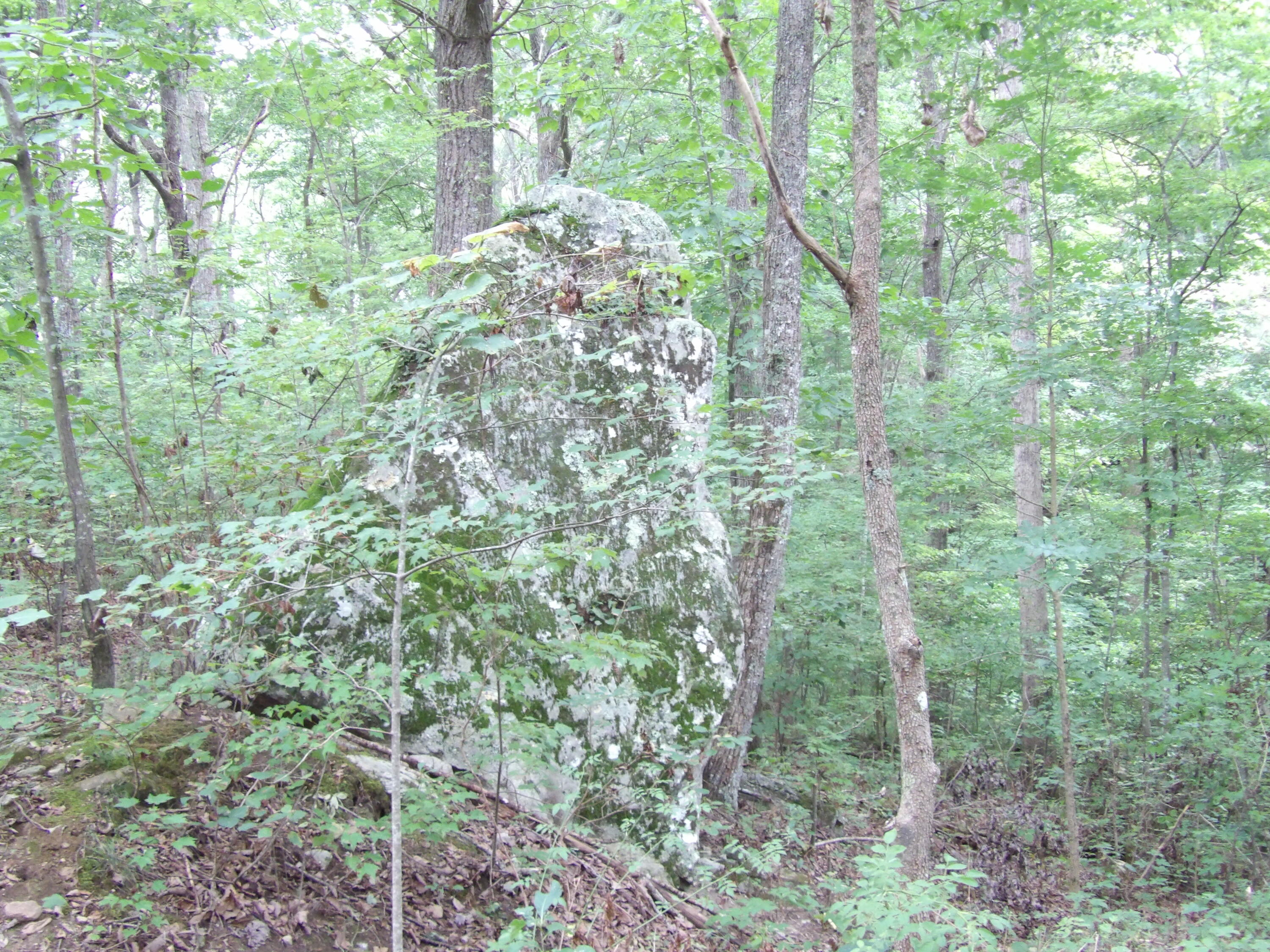 98 Porch Rock Road Pikeville, TN 37367 - Photo 12 of 42 100_0699