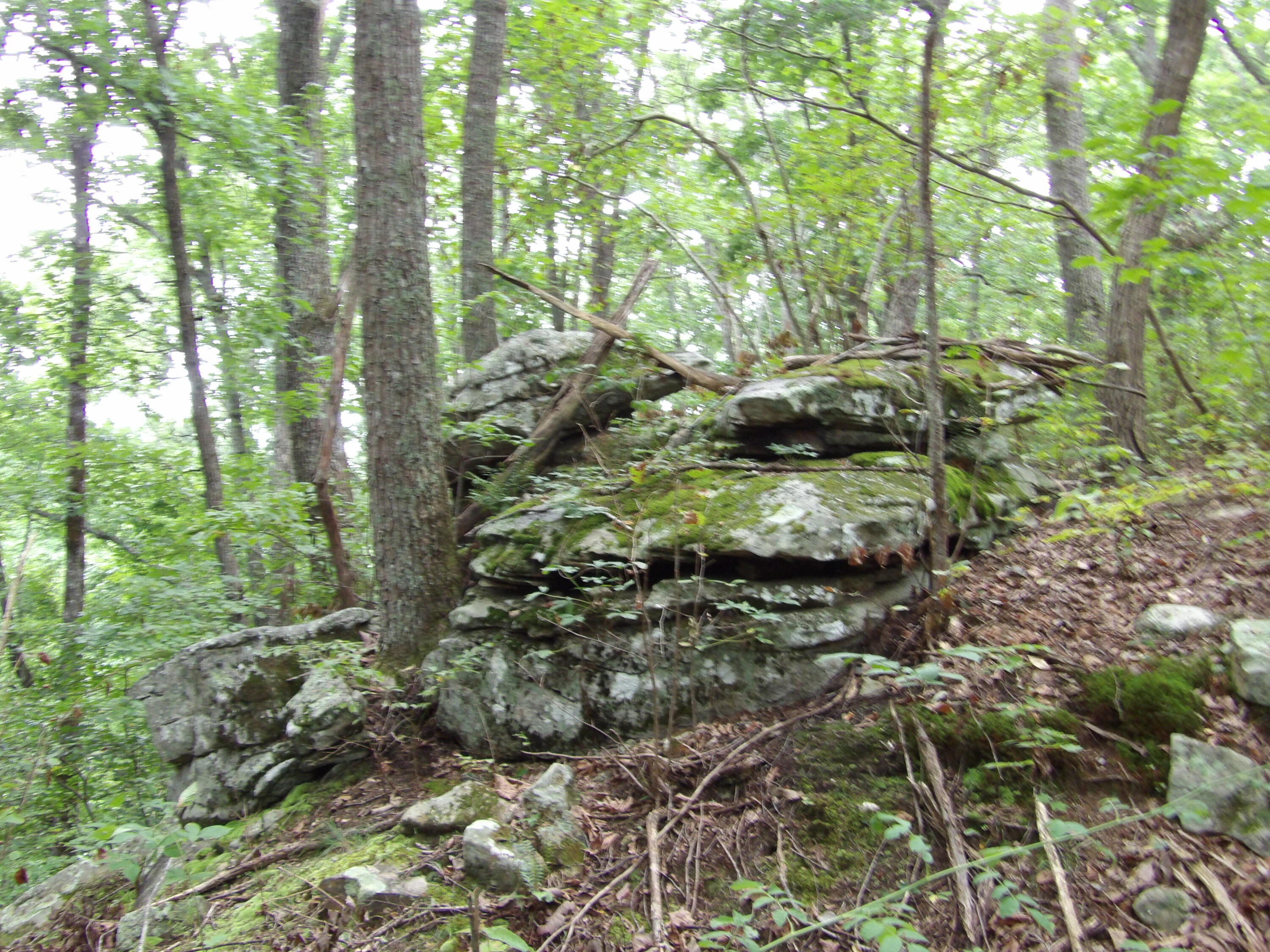 98 Porch Rock Road Pikeville, TN 37367 - Photo 13 of 42 100_0701