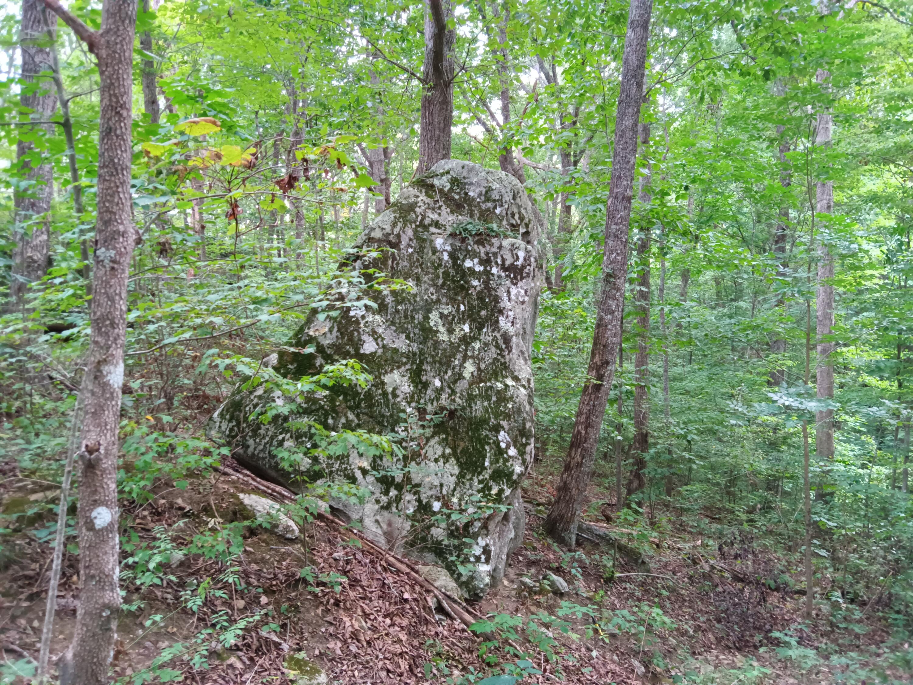 98 Porch Rock Road Pikeville, TN 37367 - Photo 14 of 42 IMG_20240814_172532