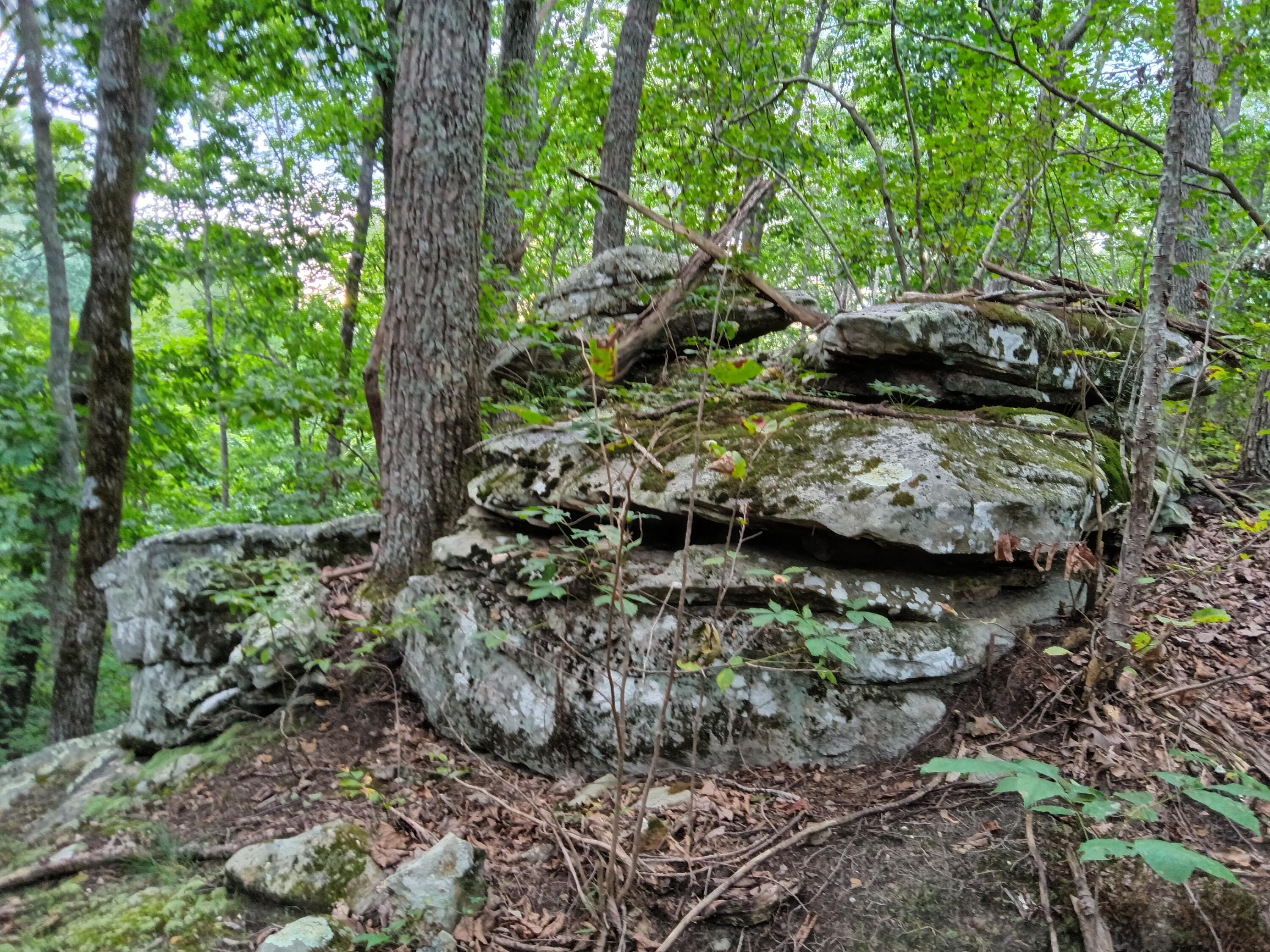 98 Porch Rock Road Pikeville, TN 37367 - Photo 15 of 42 IMG_20240814_172535