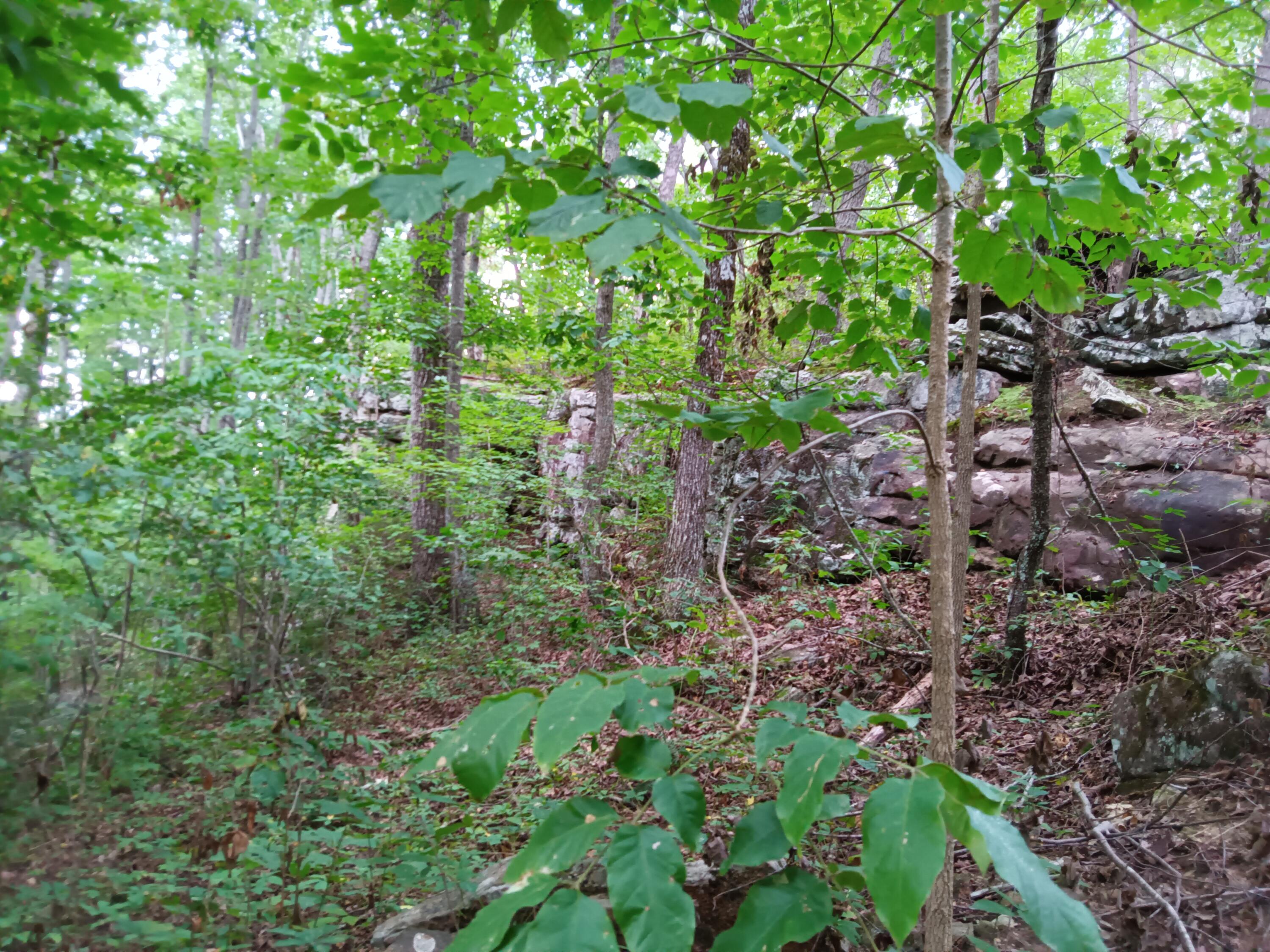 98 Porch Rock Road Pikeville, TN 37367 - Photo 19 of 42 IMG_20240814_172733