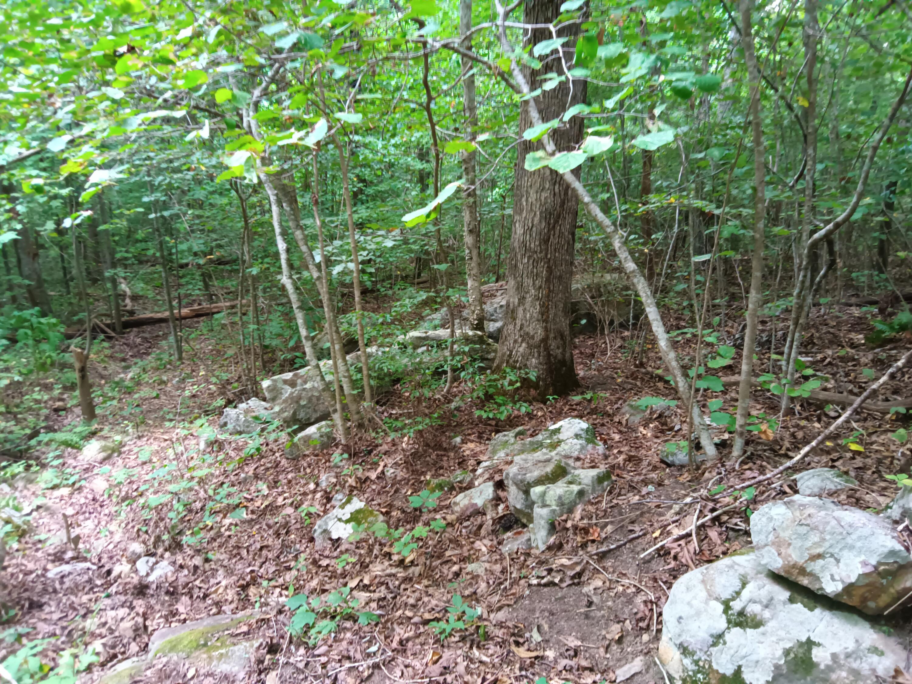 98 Porch Rock Road Pikeville, TN 37367 - Photo 20 of 42 IMG_20240814_172827