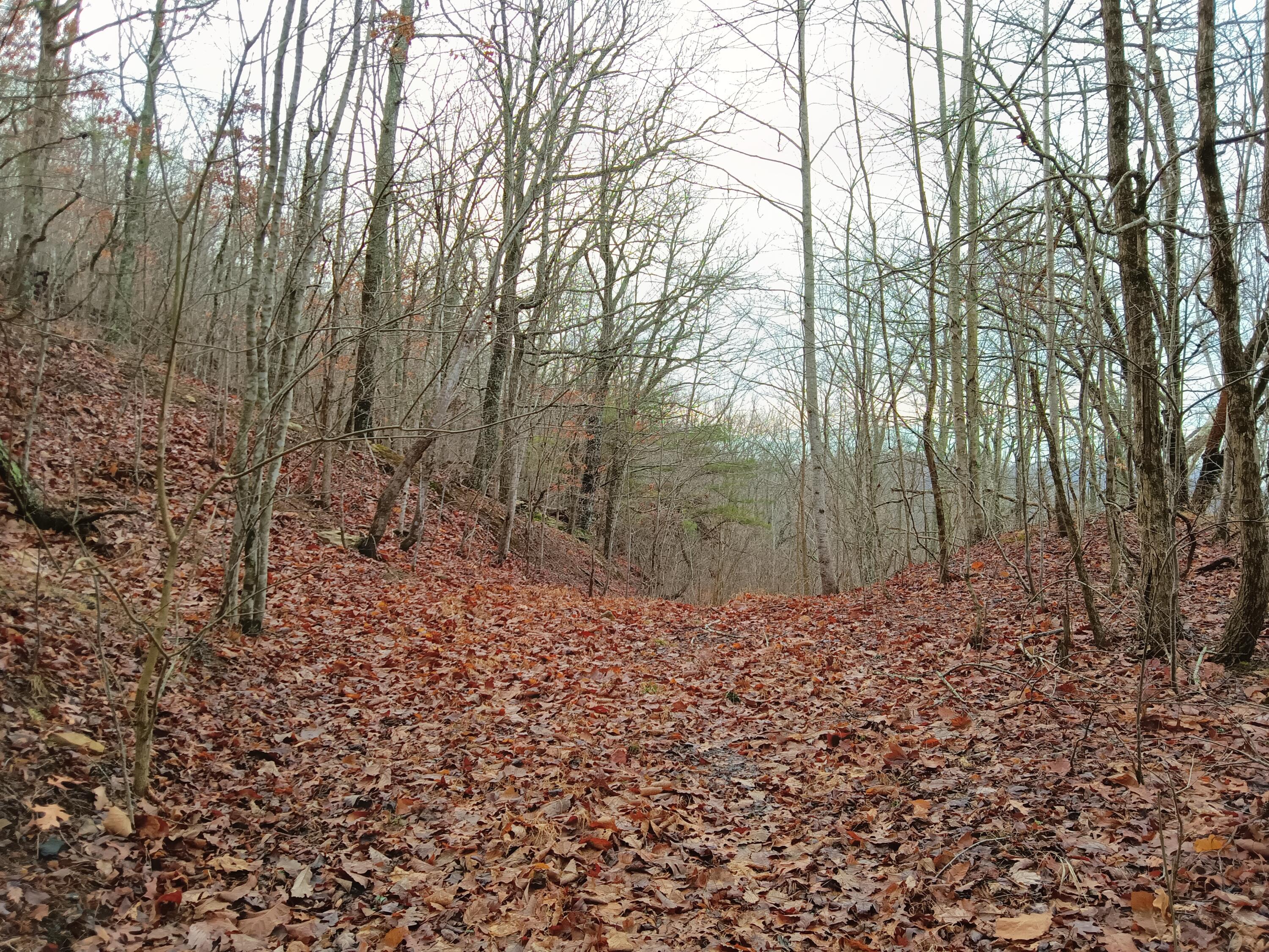 98 Porch Rock Road Pikeville, TN 37367 - Photo 27 of 42 IMG_20250210_084926