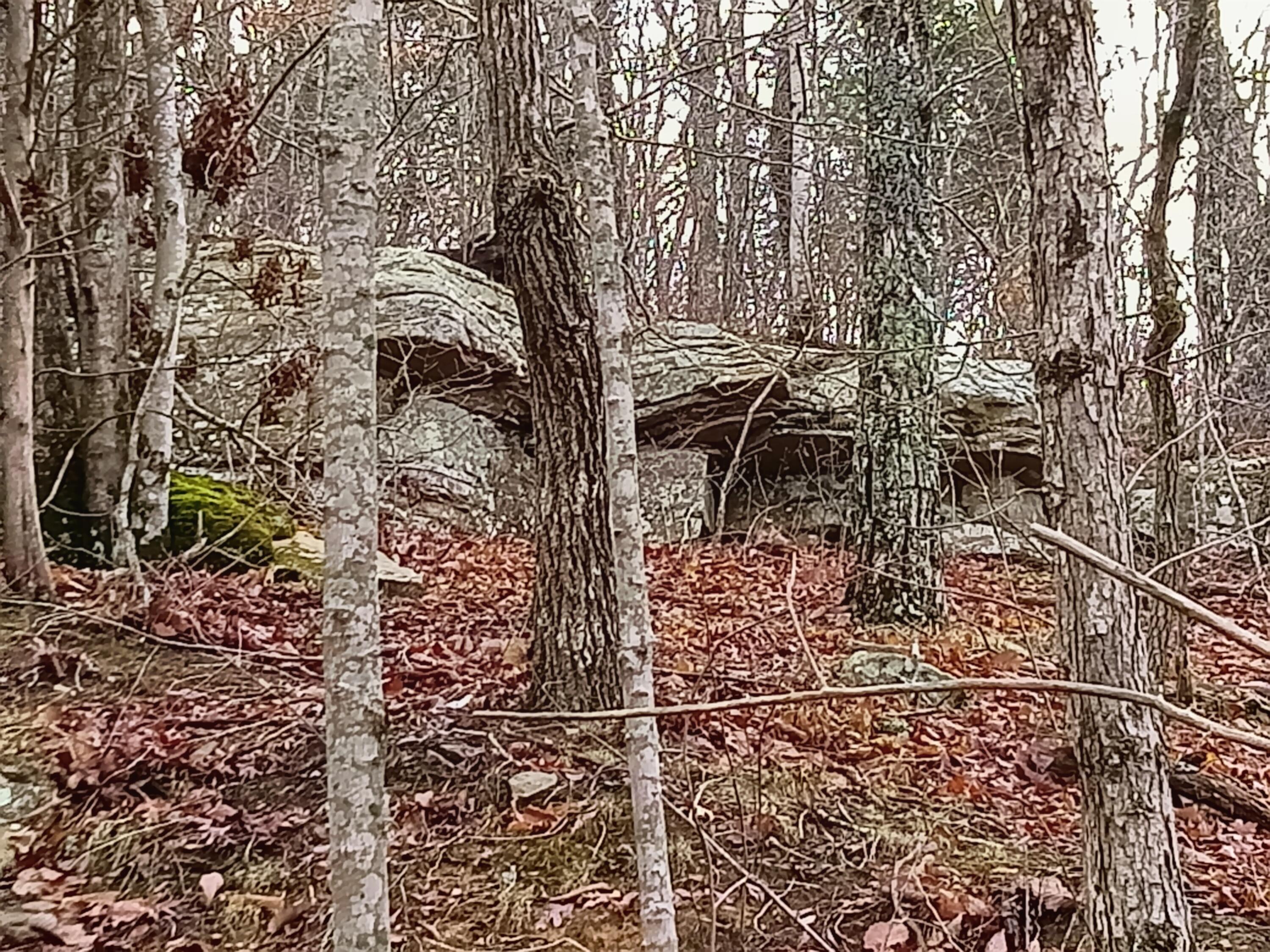 98 Porch Rock Road Pikeville, TN 37367 - Photo 28 of 42 IMG_20250210_084944