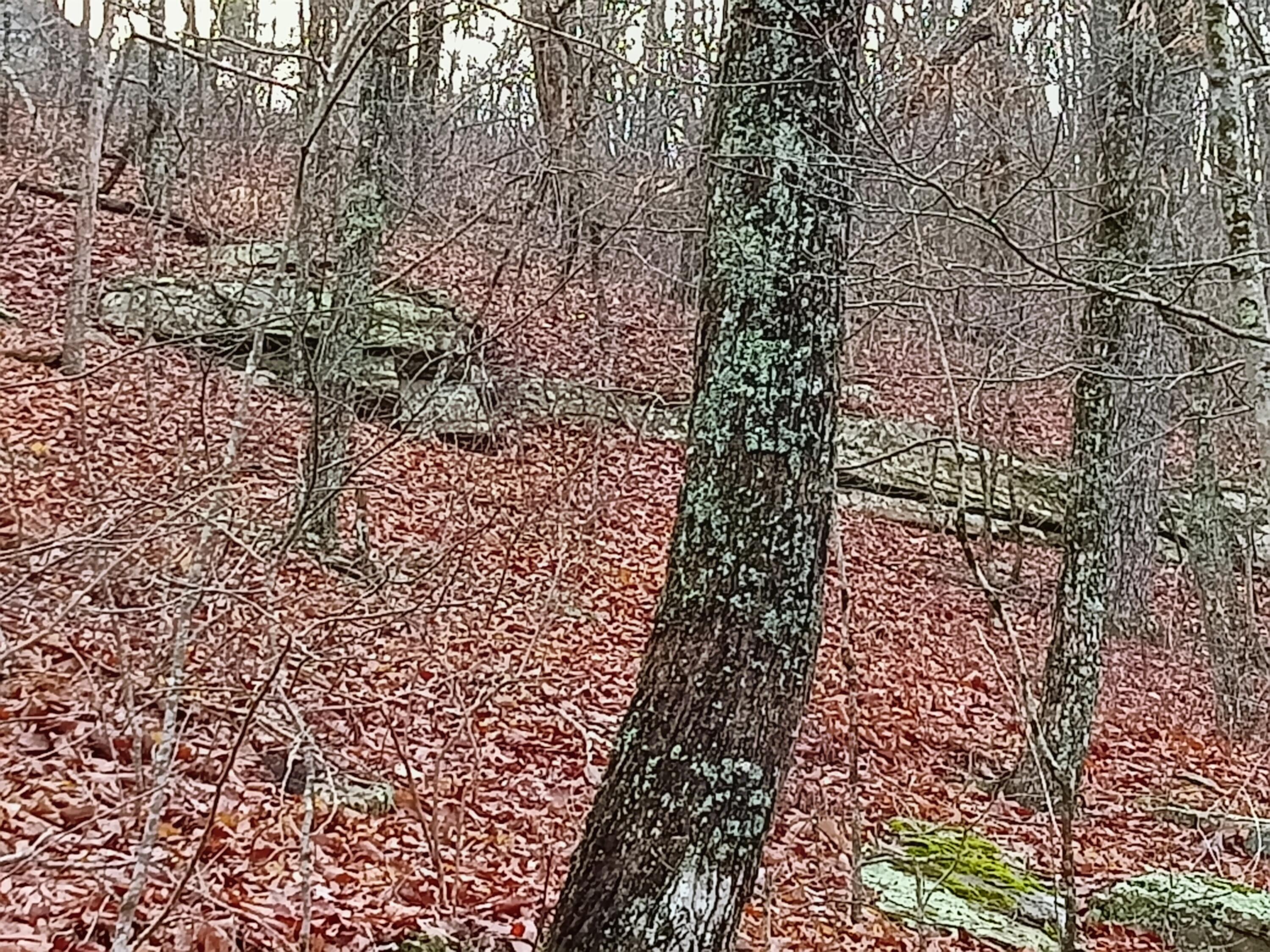 98 Porch Rock Road Pikeville, TN 37367 - Photo 30 of 42 IMG_20250210_085235