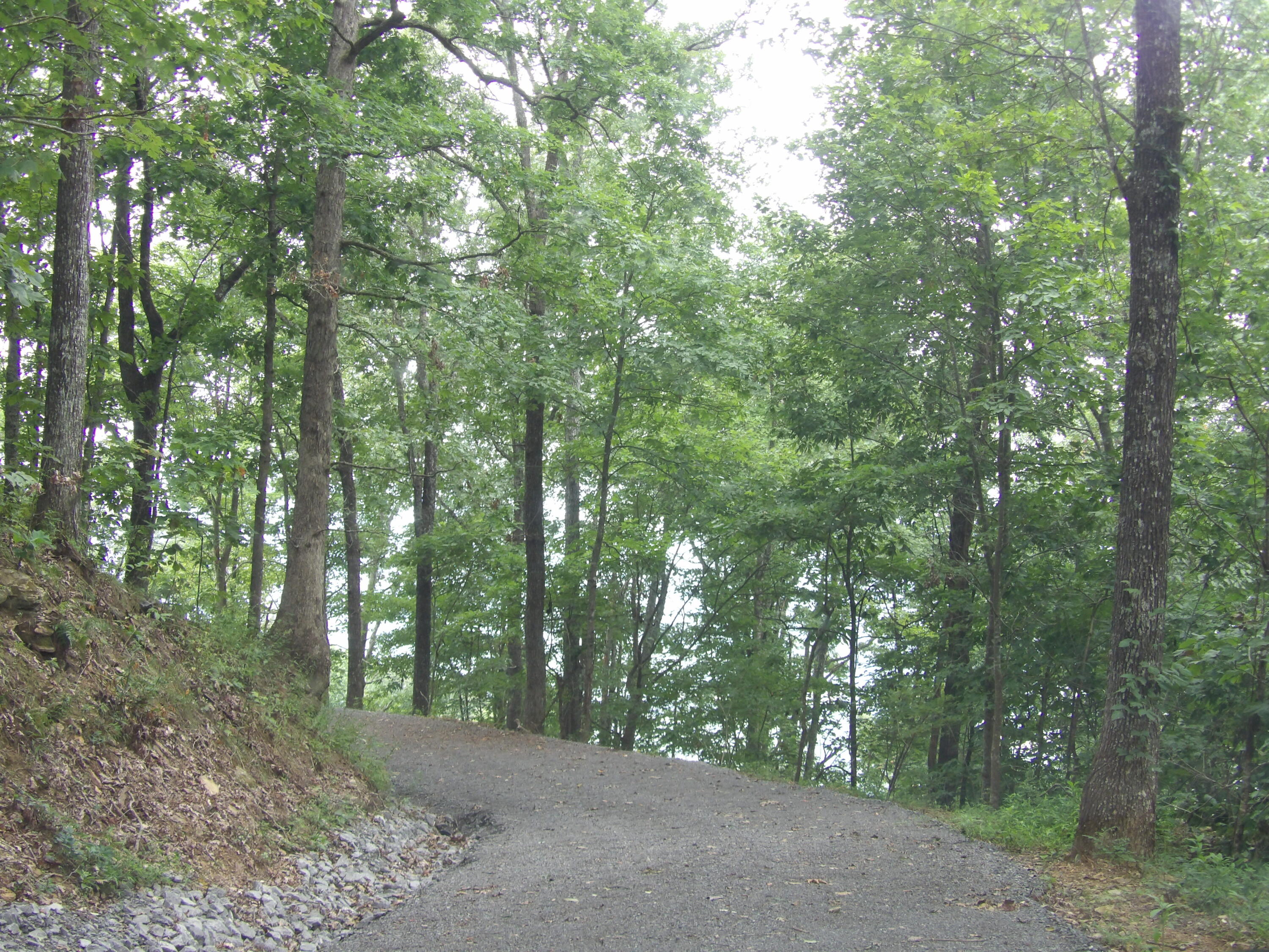 98 Porch Rock Road Pikeville, TN 37367 - Photo 33 of 42 100_0654