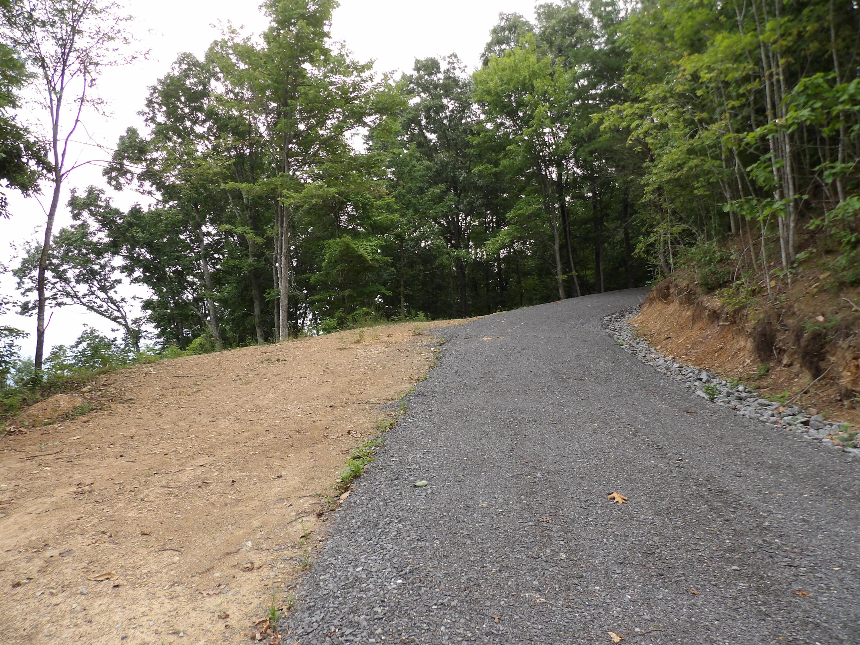 98 Porch Rock Road Pikeville, TN 37367 - Photo 34 of 42 100_0657