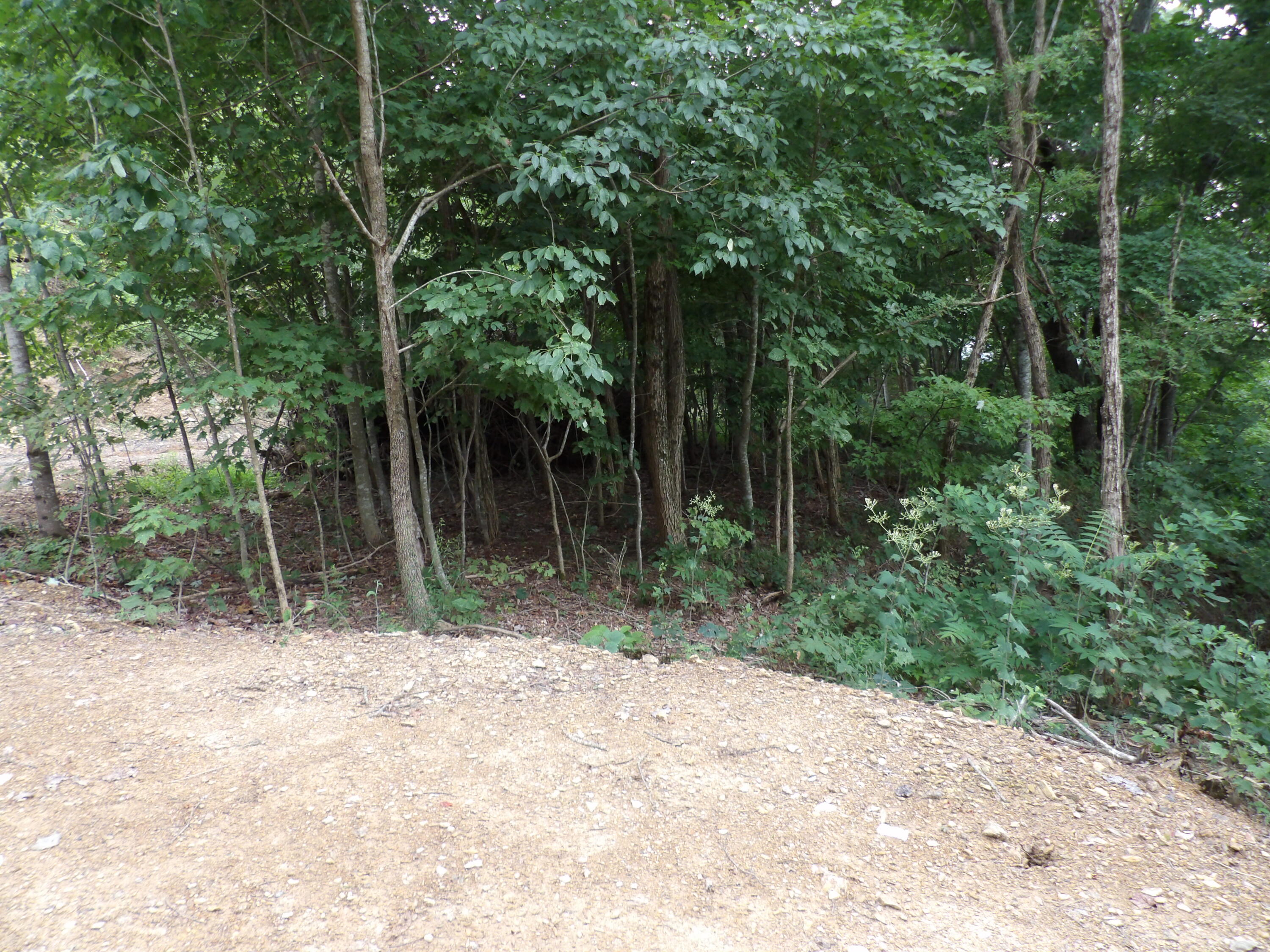 98 Porch Rock Road Pikeville, TN 37367 - Photo 35 of 42 100_0664