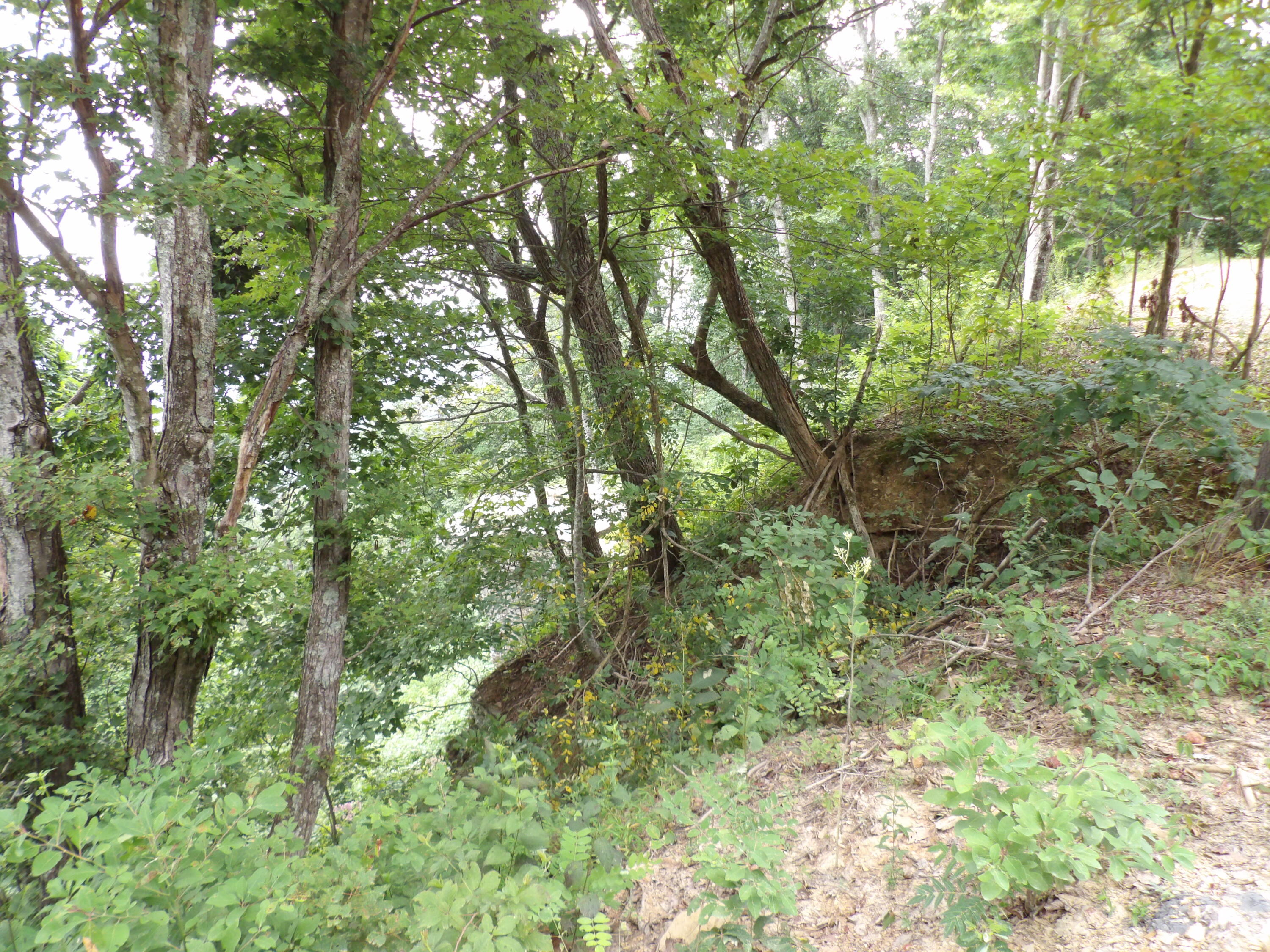 98 Porch Rock Road Pikeville, TN 37367 - Photo 36 of 42 100_0665