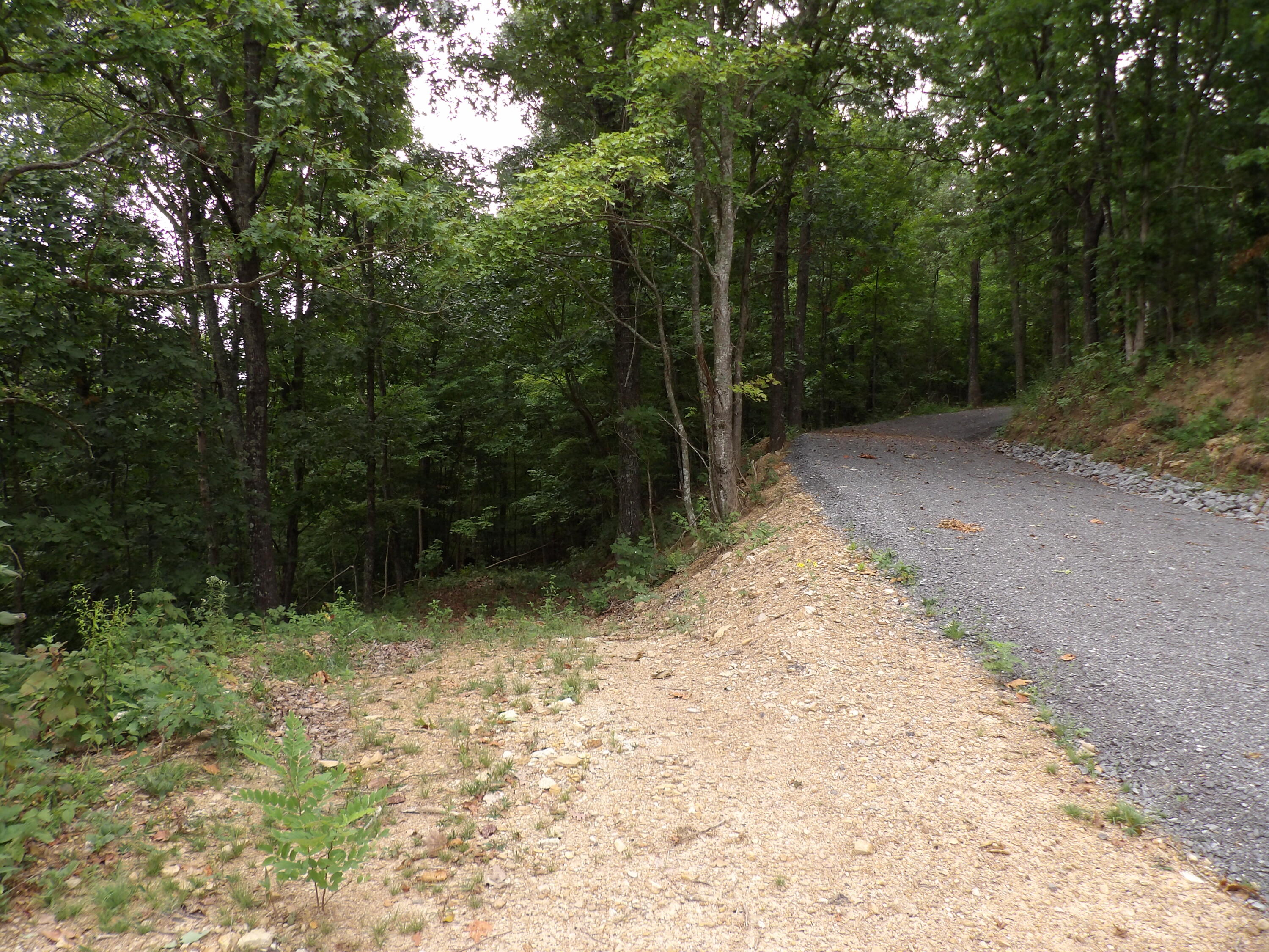 98 Porch Rock Road Pikeville, TN 37367 - Photo 38 of 42 100_0666