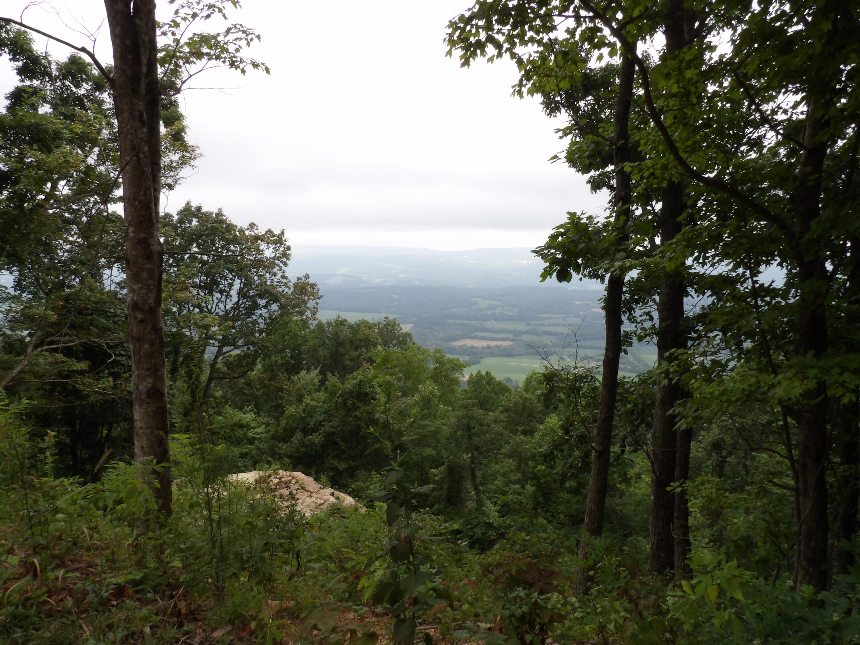 98 Porch Rock Road Pikeville, TN 37367 - Photo 39 of 42 100_0668