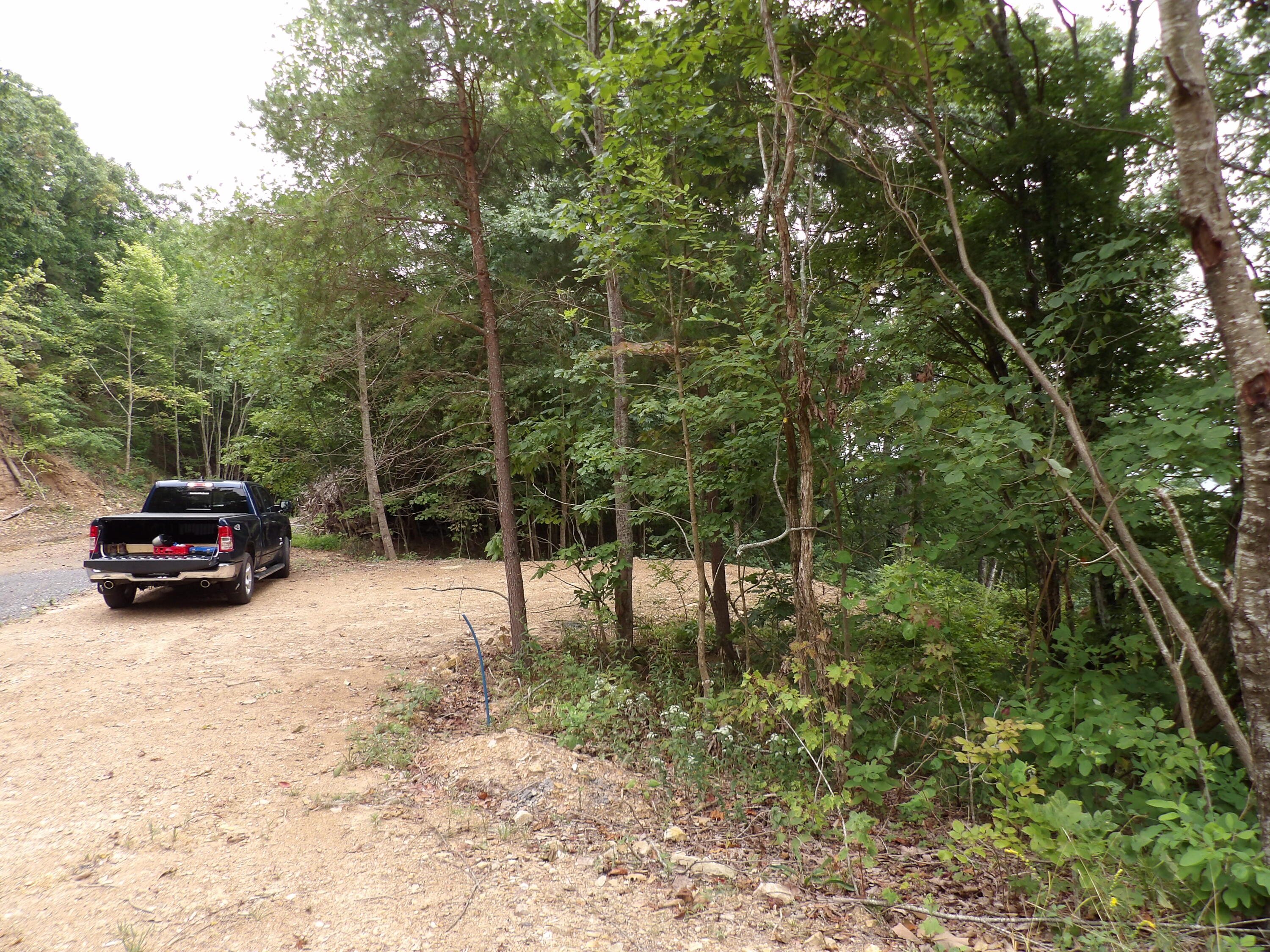 98 Porch Rock Road Pikeville, TN 37367 - Photo 4 of 42 100_0673