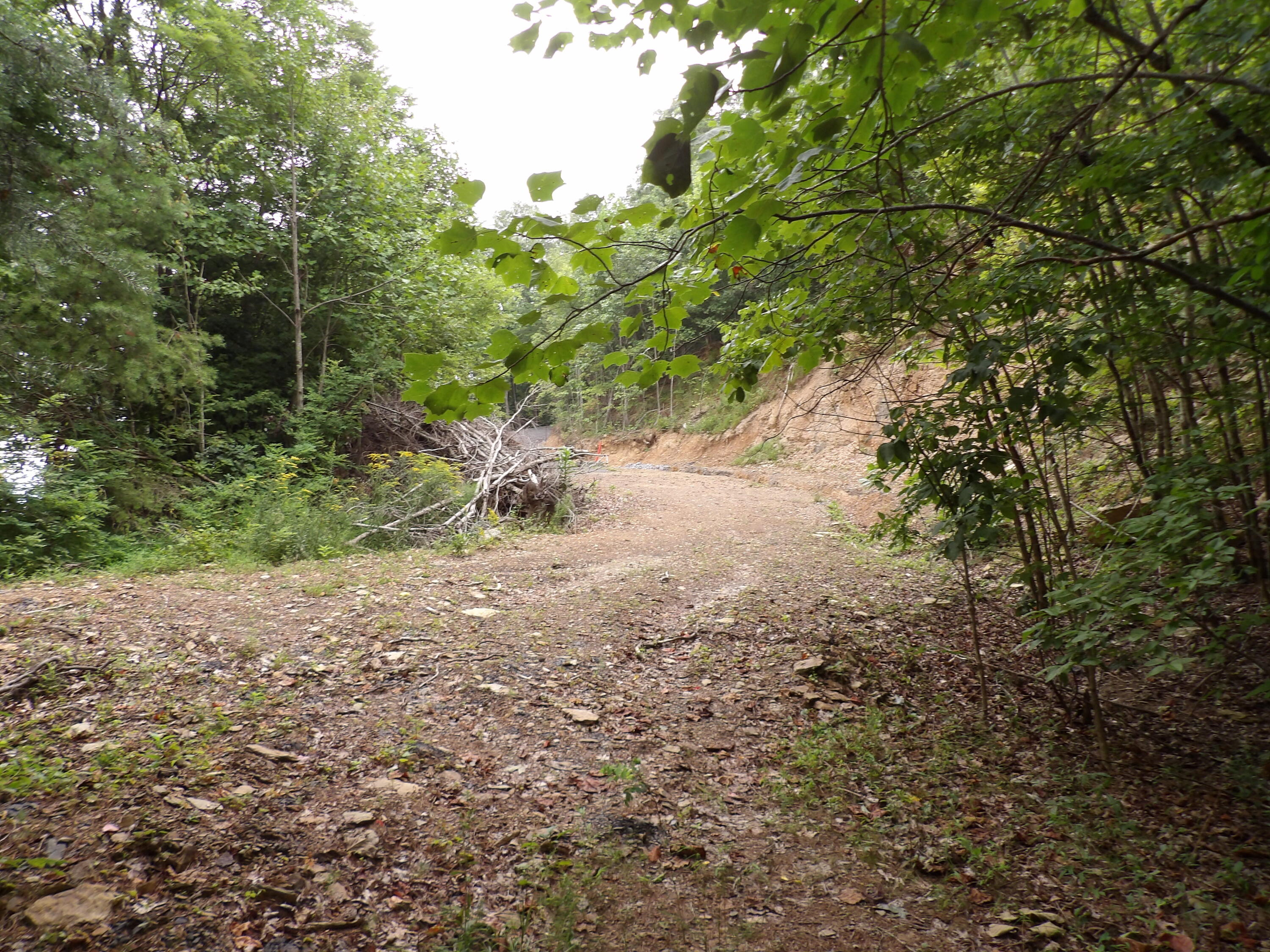 98 Porch Rock Road Pikeville, TN 37367 - Photo 42 of 42 100_0686