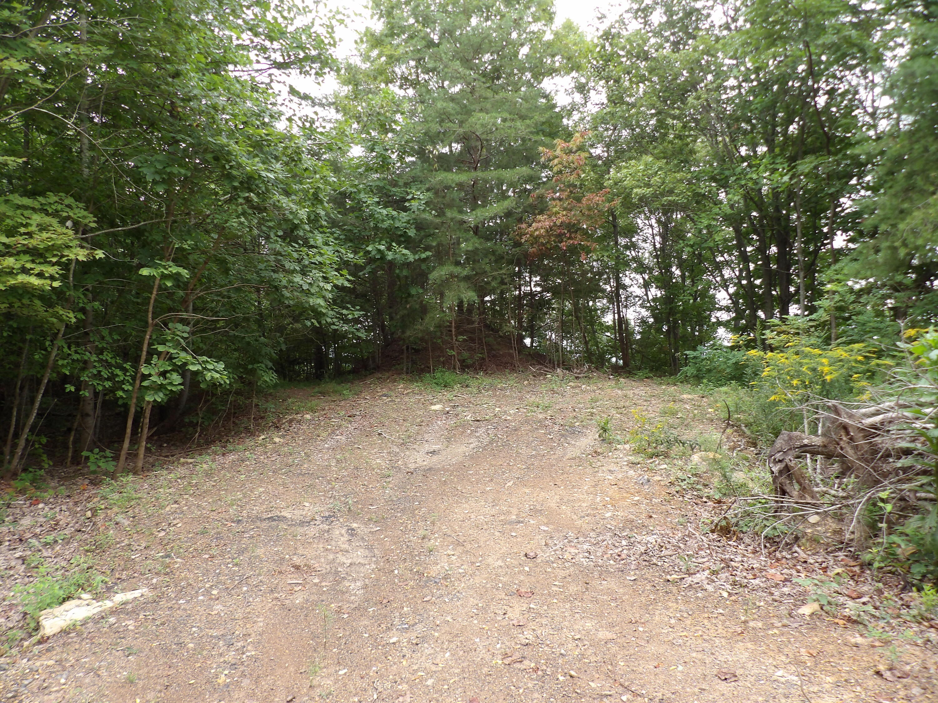 98 Porch Rock Road Pikeville, TN 37367 - Photo 5 of 42 100_0675