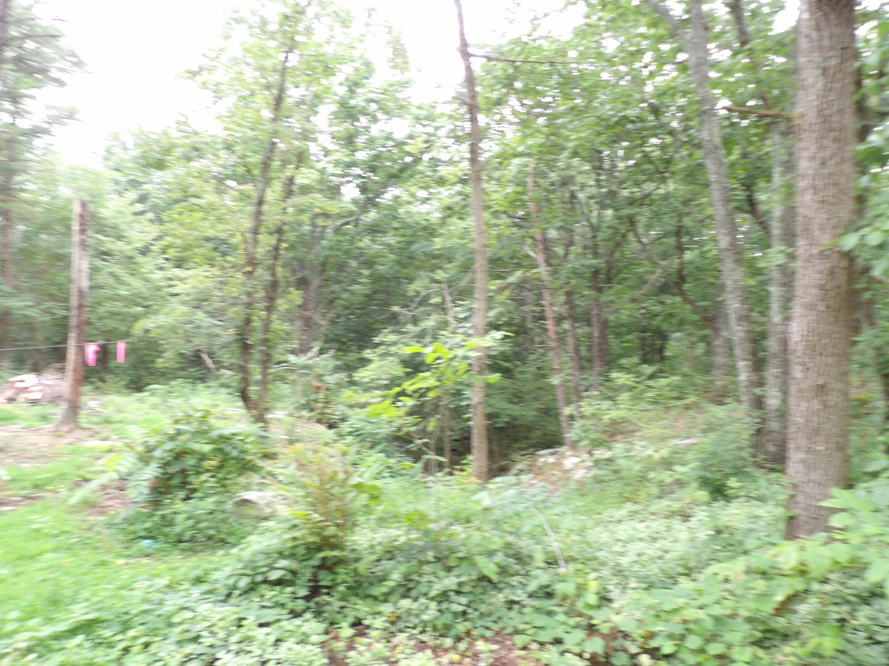 98 Porch Rock Road Pikeville, TN 37367 - Photo 7 of 42 100_0694