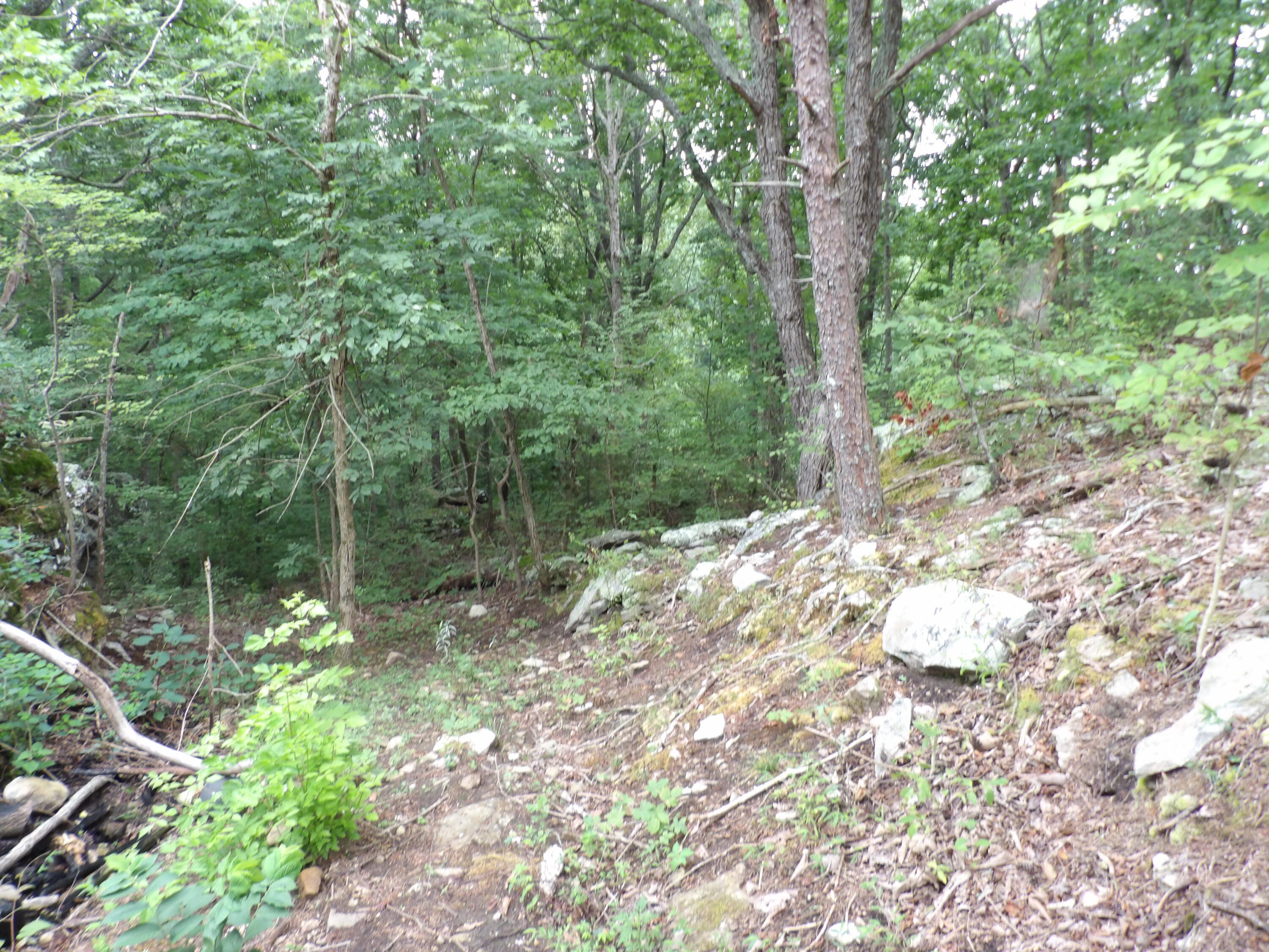 98 Porch Rock Road Pikeville, TN 37367 - Photo 8 of 42 100_0695