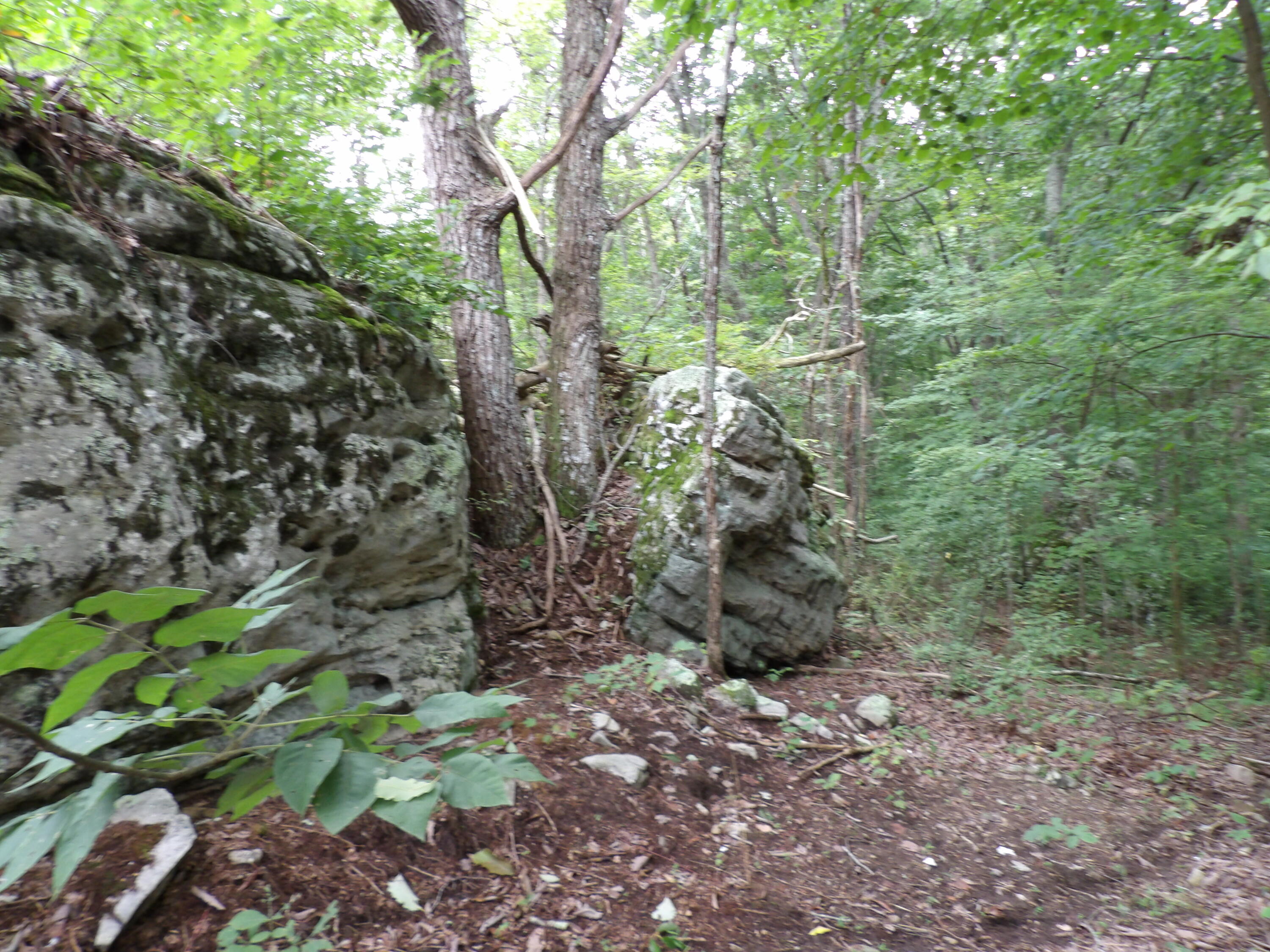 98 Porch Rock Road Pikeville, TN 37367 - Photo 9 of 42 100_0696