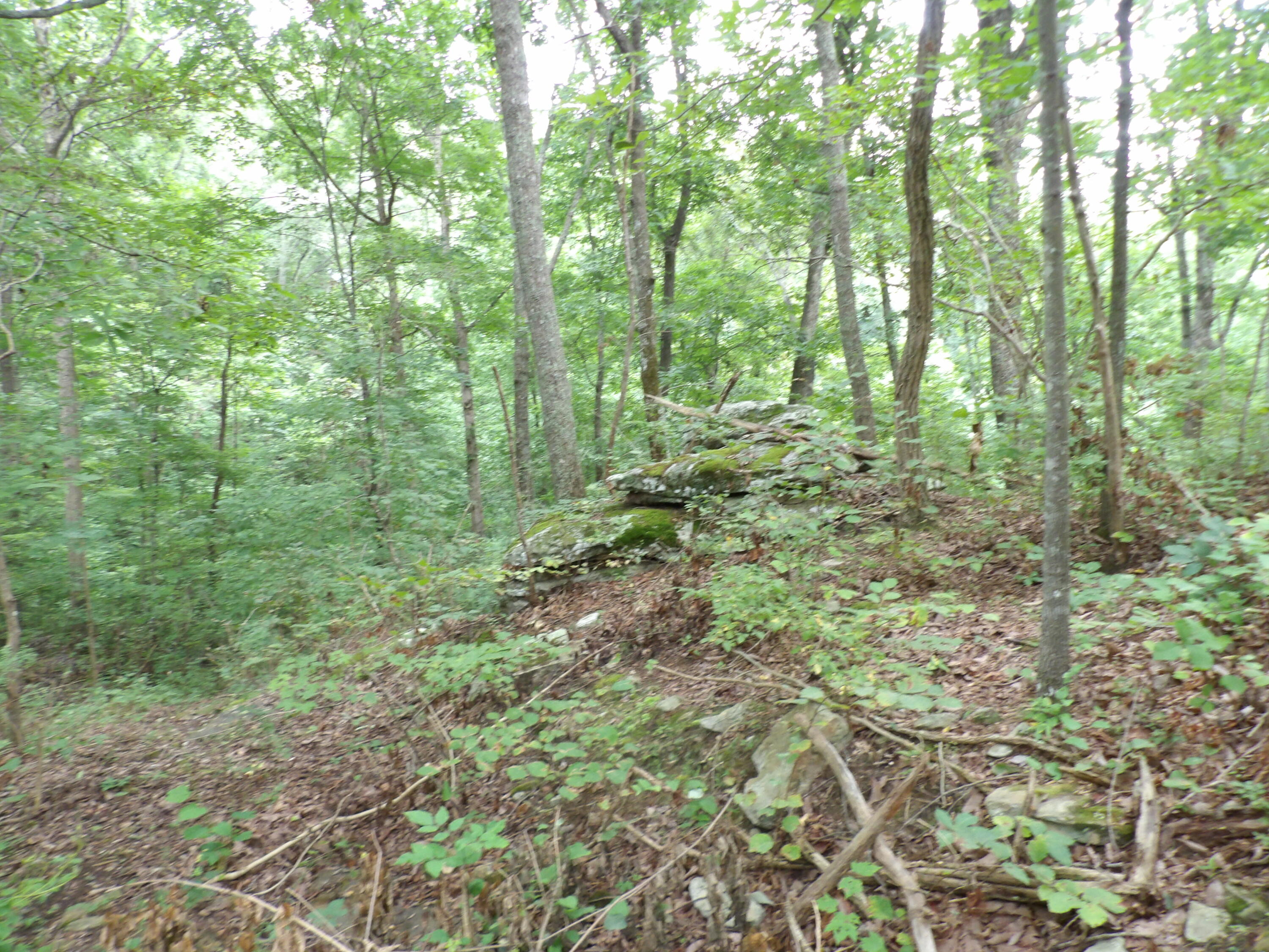 98 Porch Rock Road Pikeville, TN 37367 - Photo 10 of 42 100_0697