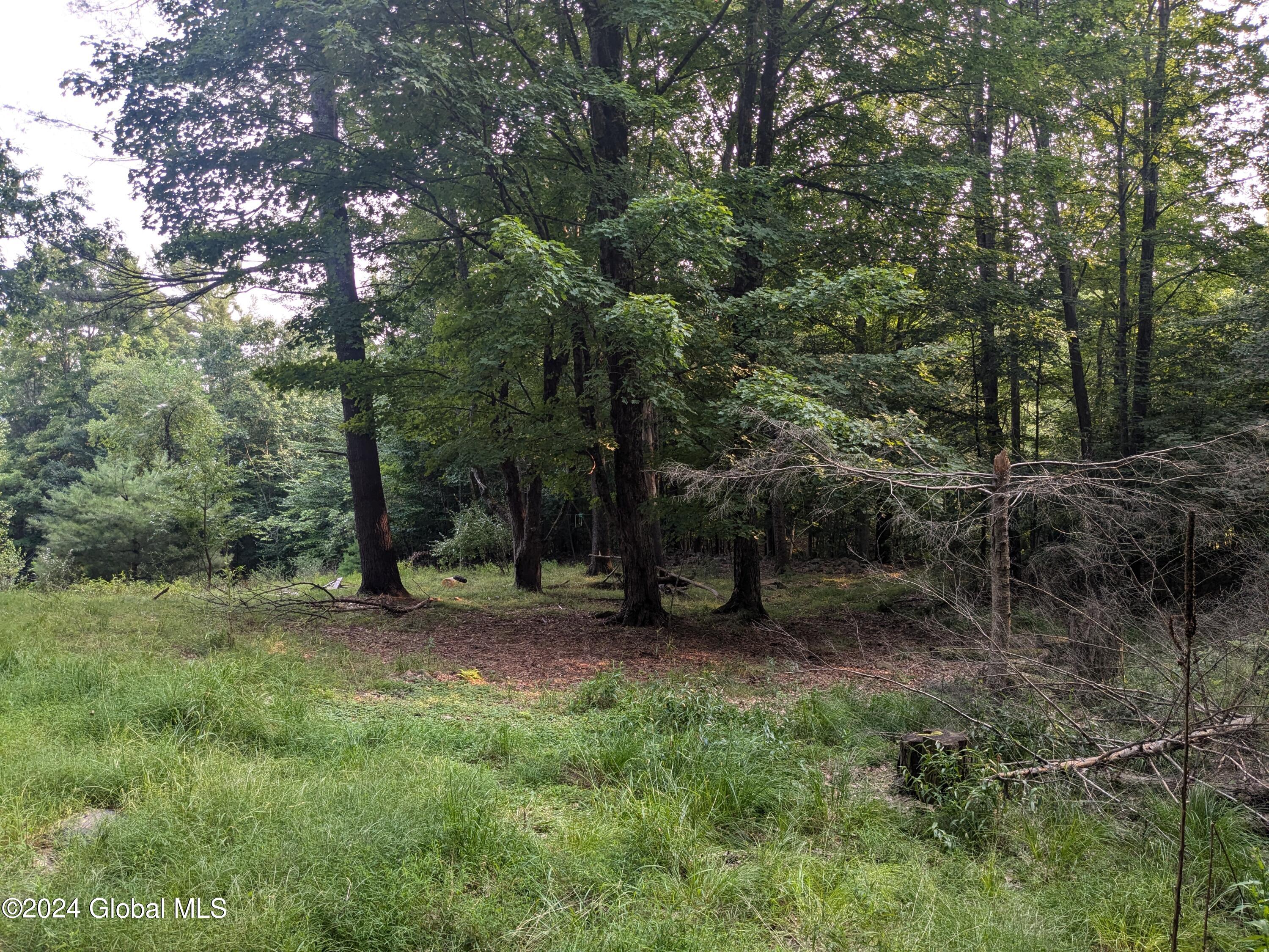 89 Lawrence Road Day, NY 12835 - Photo 2 of 4 Cleared portion 2