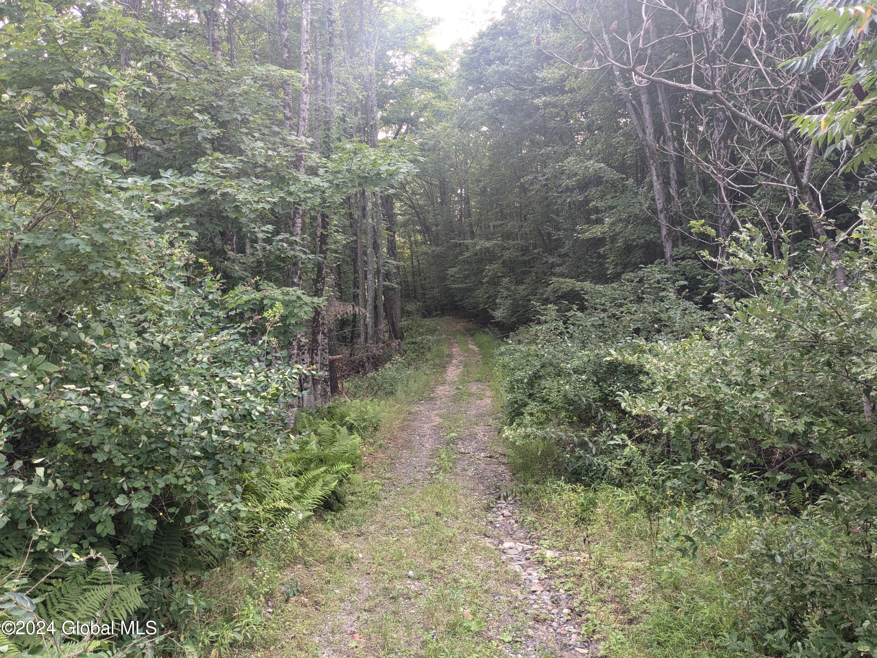 89 Lawrence Road Day, NY 12835 - Photo 3 of 4 Road