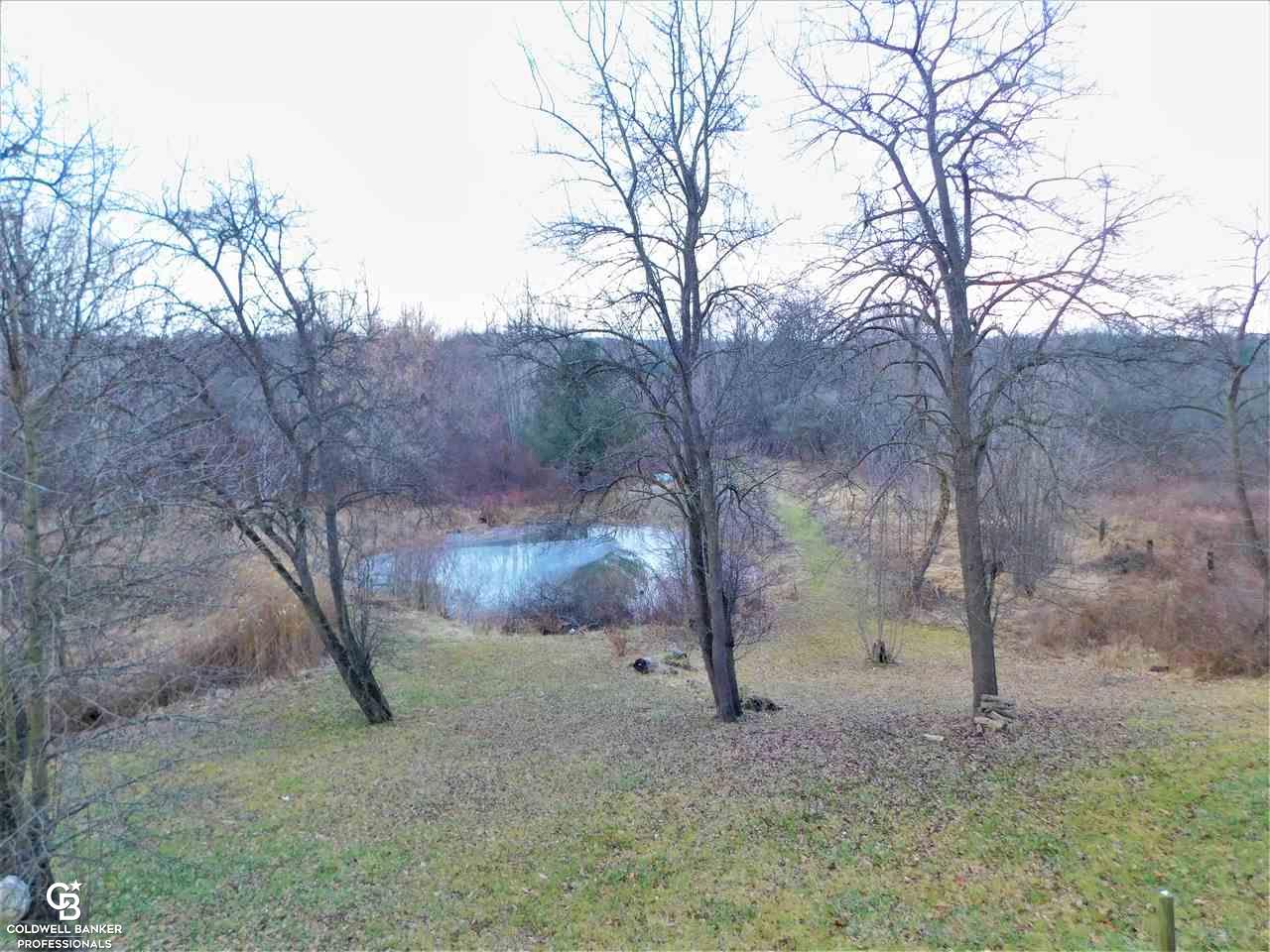 7789 Ravenswood Road Goodells, MI 48027 - Photo 11 of 43