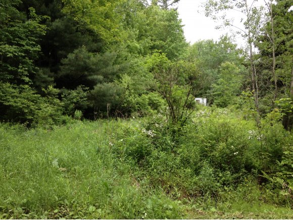 137 Temple Road German, NY 13801 - Photo 3 of 3 Gallery Image 3