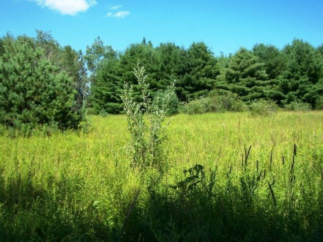 5412 20 Mile Road Barryton, MI 49305 - Photo 17 of 20 Meadow