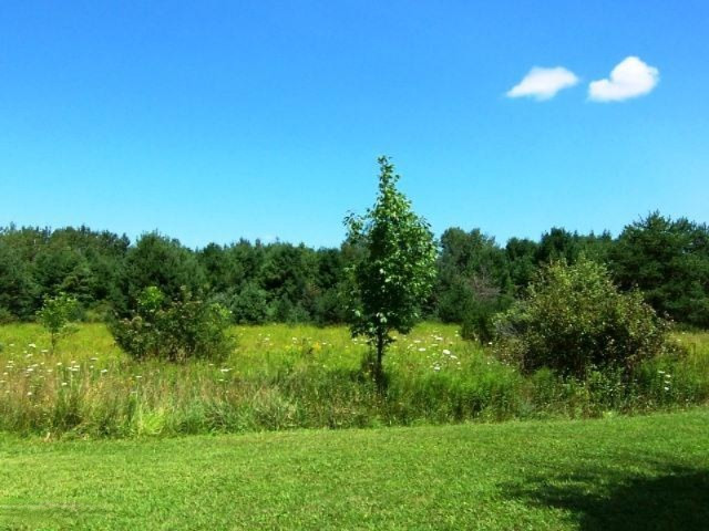 5412 20 Mile Road Barryton, MI 49305 - Photo 20 of 20 Woods