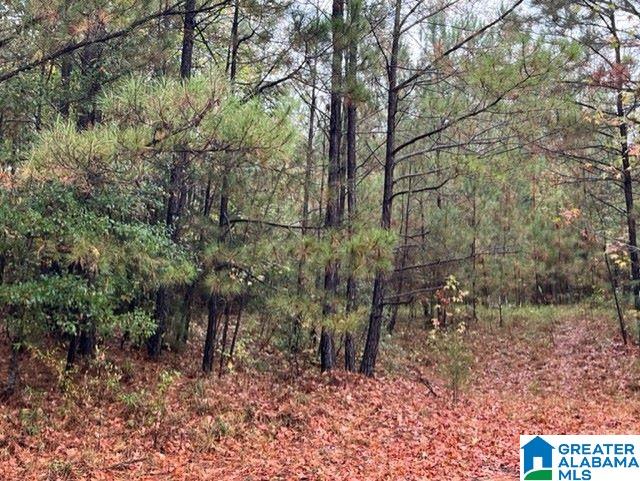 651 Shady Grove Road, Unit ACREAGE Randolph, AL 36792 - Photo 3 of 3