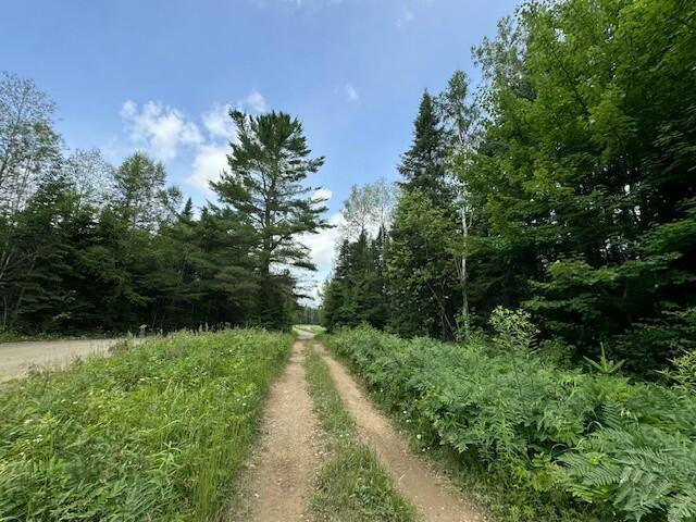 Lot #3 Pleine Road St. Agatha, ME 04772 - Photo 20 of 32