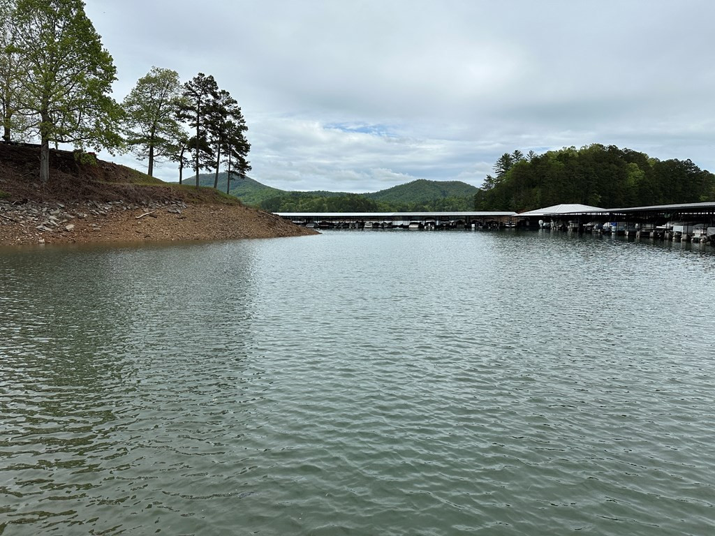500 Marina Road, Unit C2 Murphy, NC 28906 - Photo 36 of 37 Community Marina