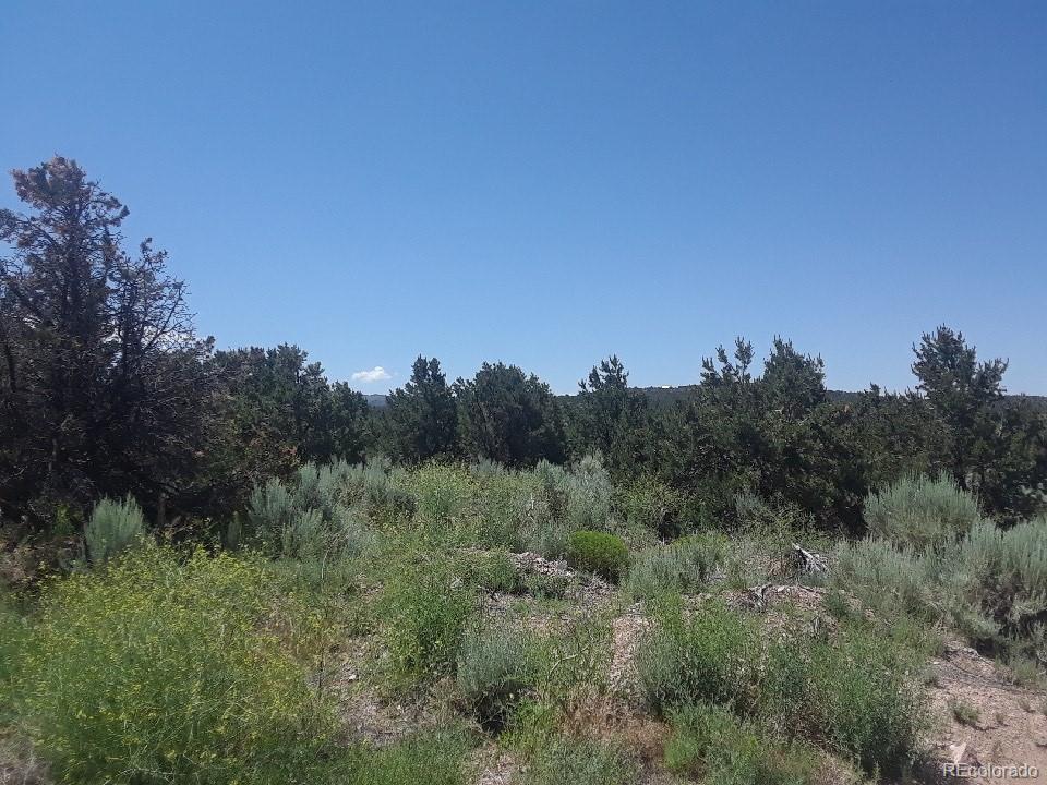 Juarez Road San Luis, CO 81152 - Photo 1 of 8 Gallery Image 1