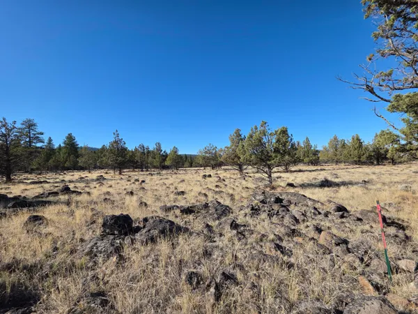 $85,000 | 0 Cedar Trail, Unit 4008017000900, Klamath Falls, OR 97603