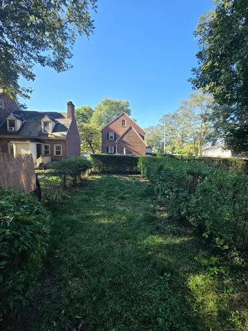 a view of a large garden with plants and large trees