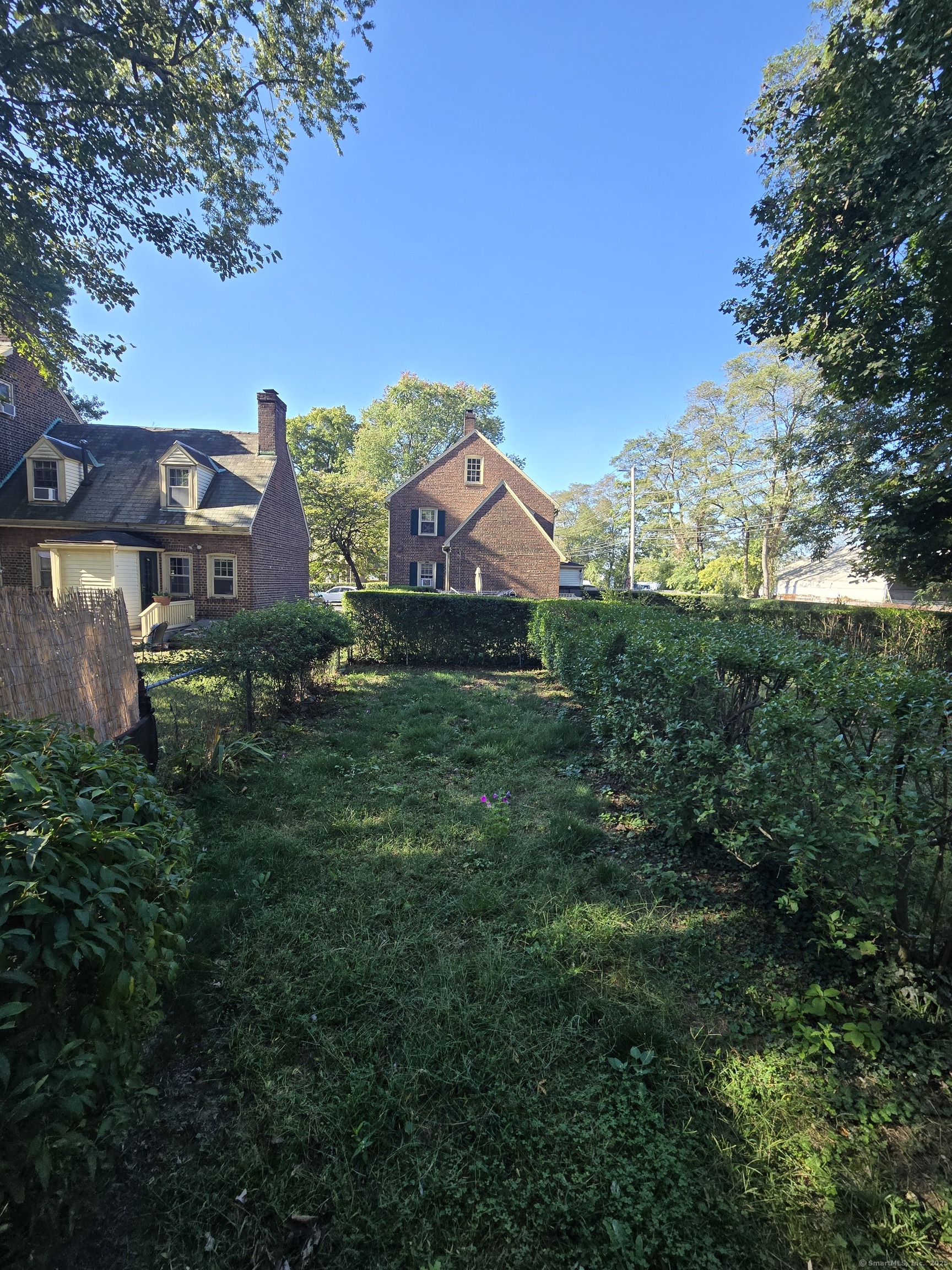 21 Little Street Bridgeport, CT 06604 - Photo 3 of 12 a view of a large garden with plants and large trees