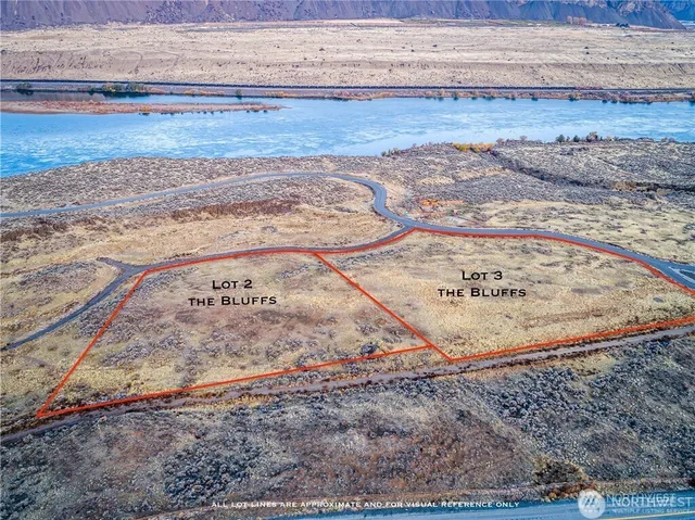 a view of outdoor space yard and patio