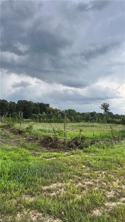 0 Teague Farm Road Seagrove, NC 27341 - Photo 16 of 27