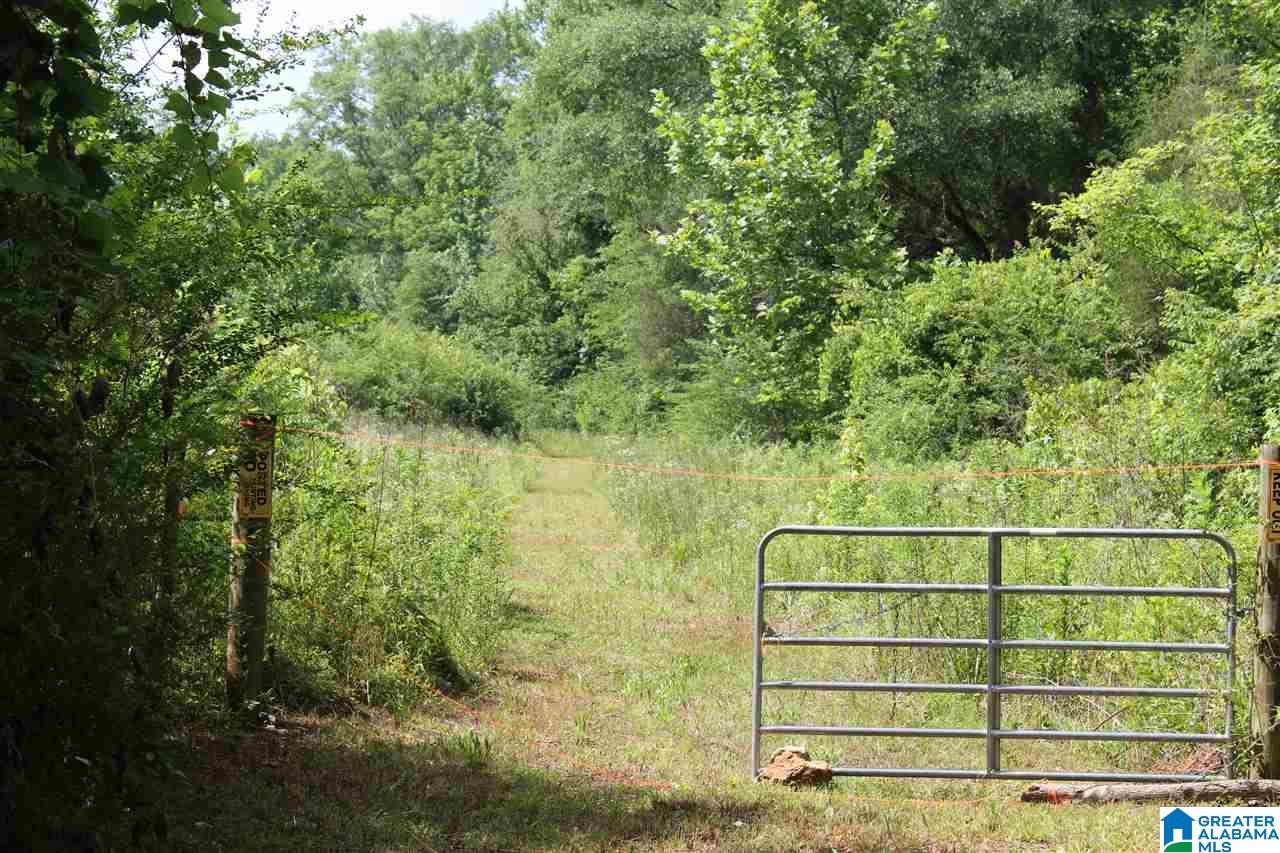 2727 Marvel Road Brierfield, AL 35035 - Photo 22 of 22