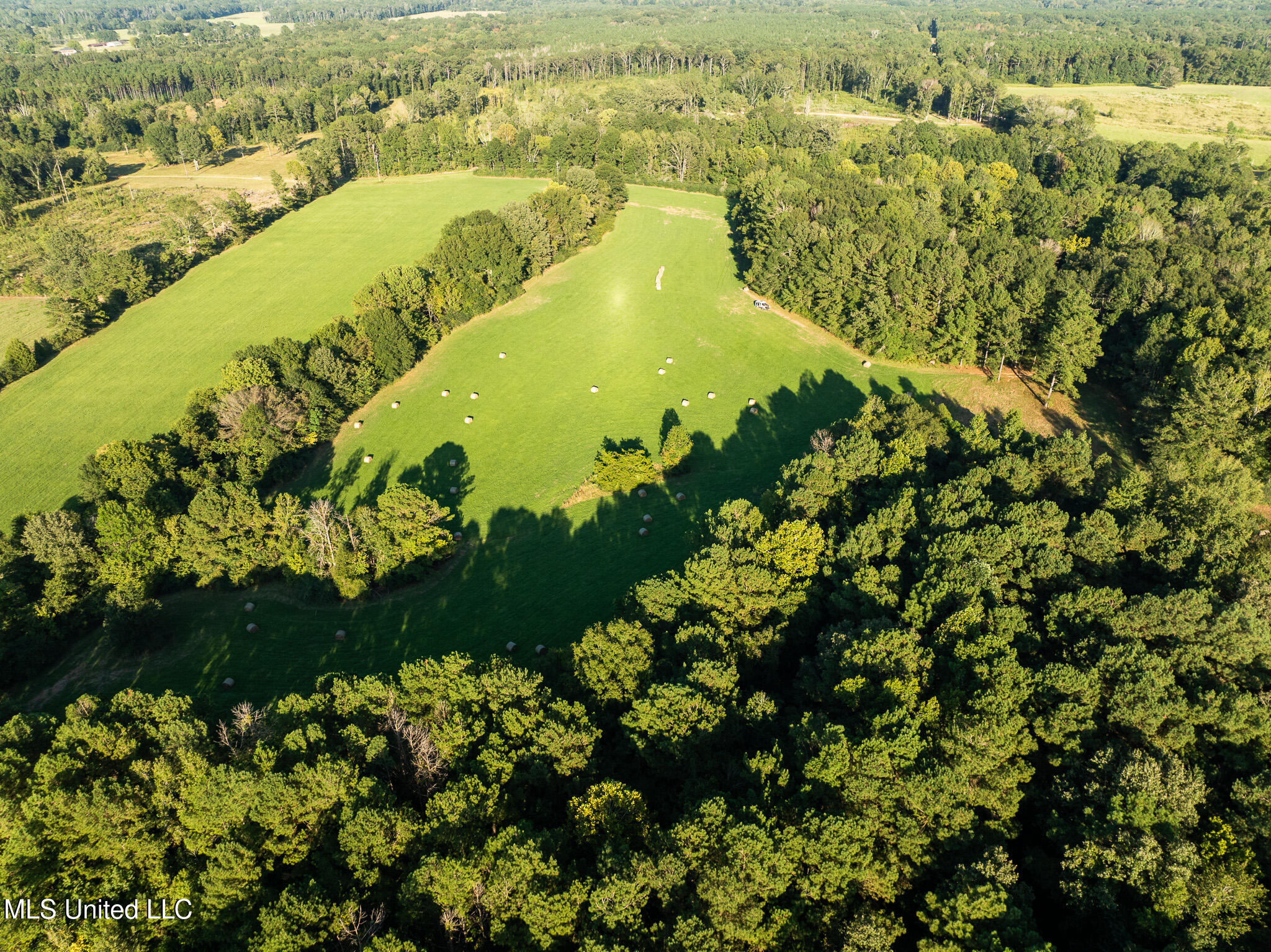 DJI_0614