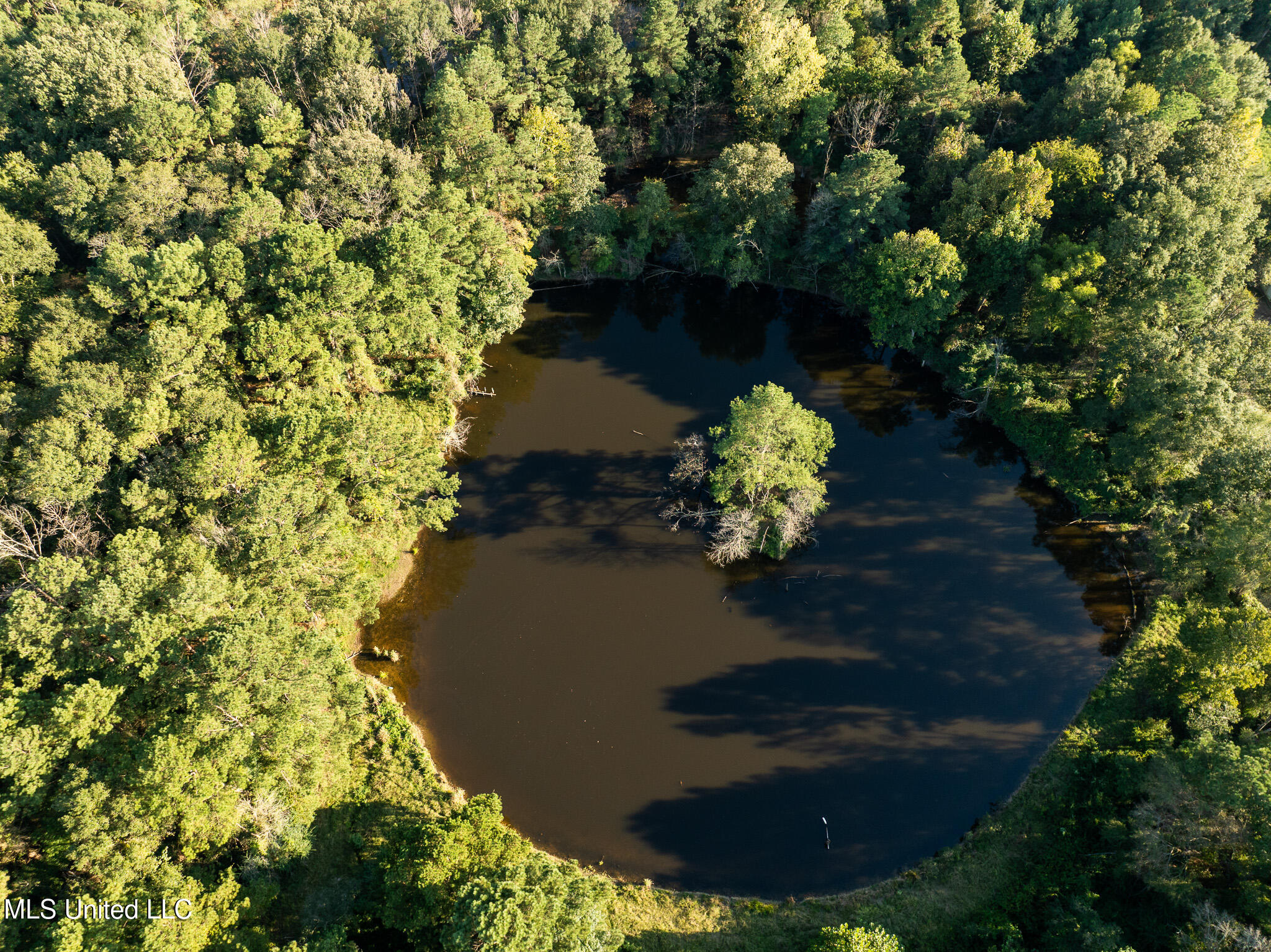 DJI_0612