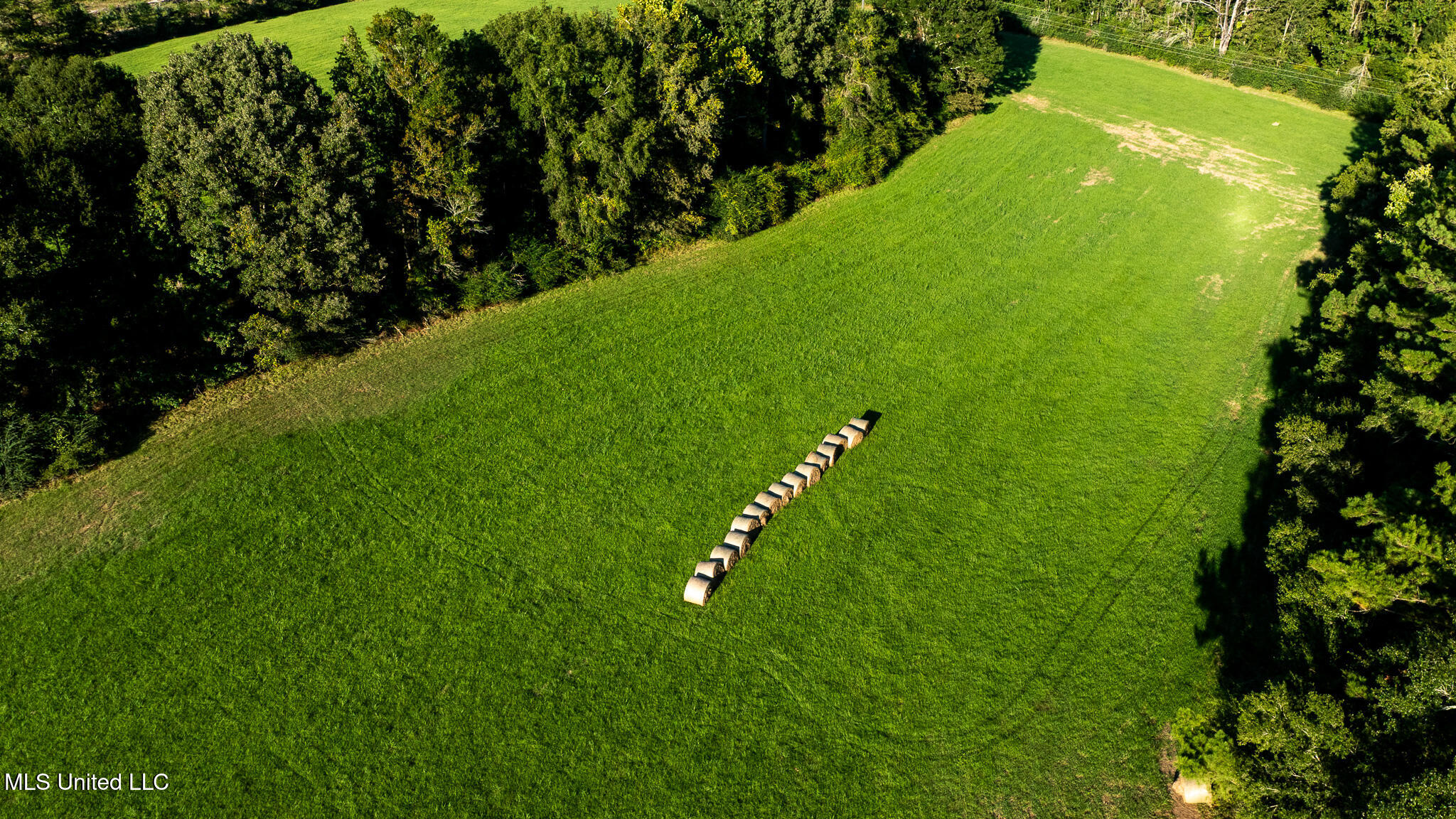 DJI_0617